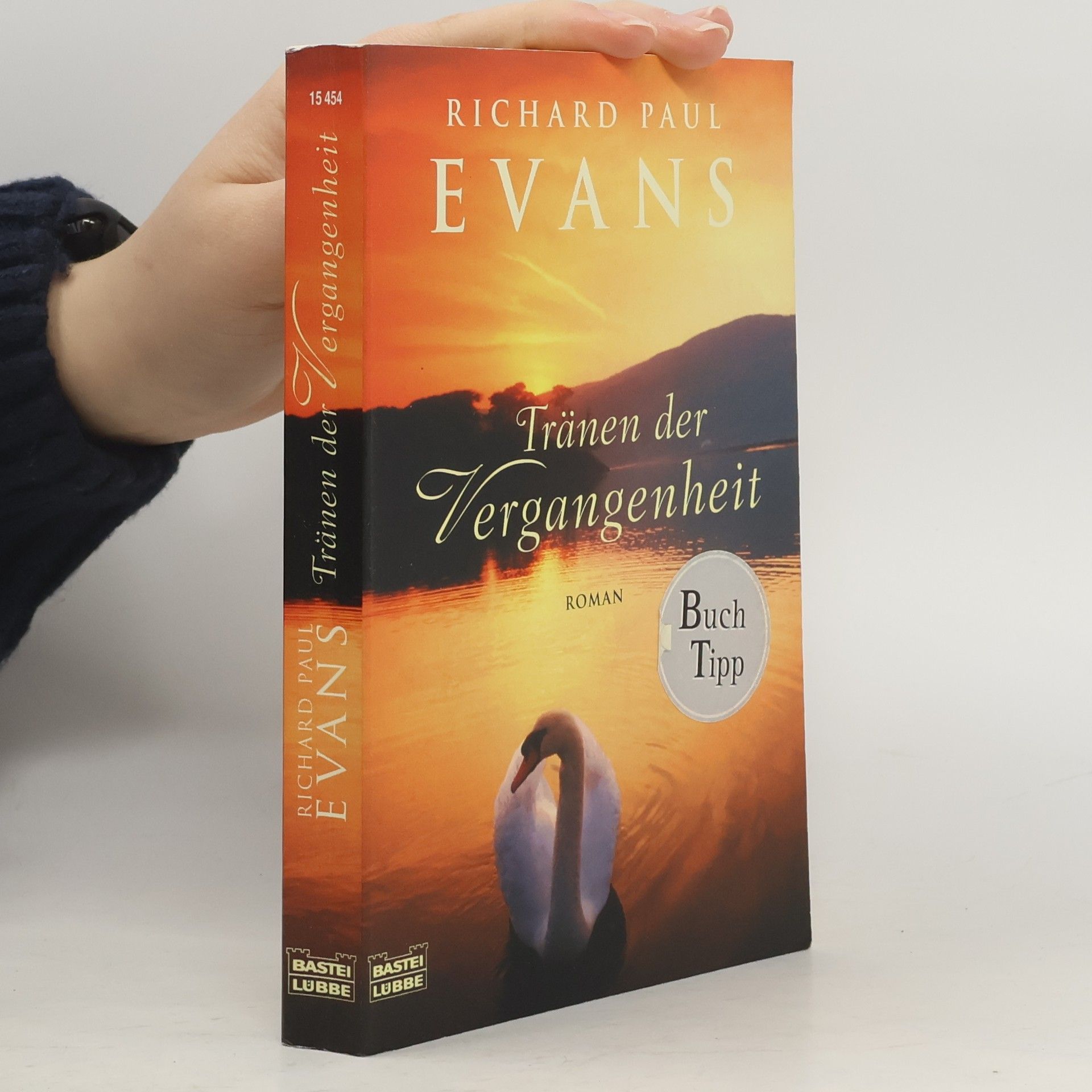 Richard Paul Evans Tränen der Vergangenheit