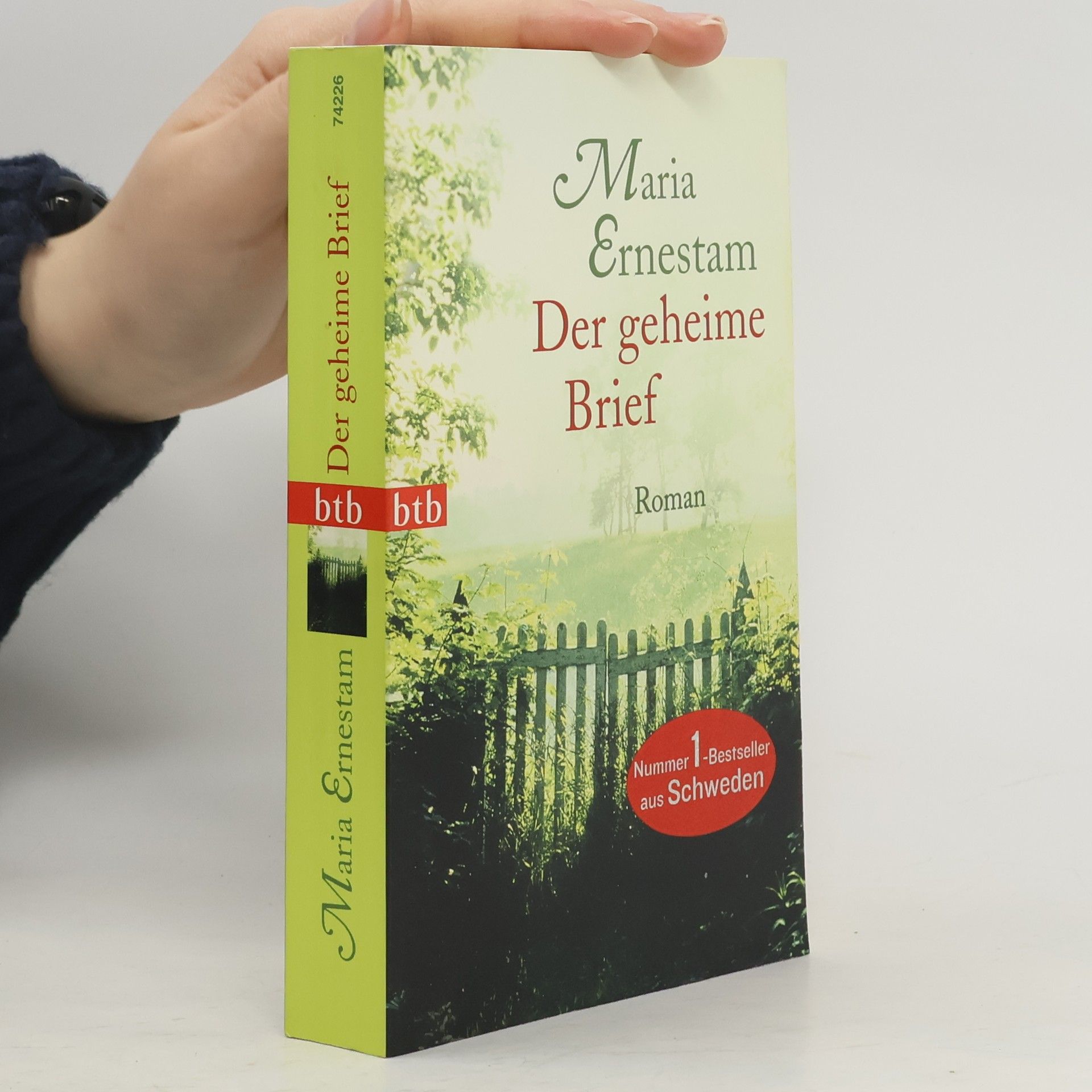 Maria Ernestam Der geheime Brief