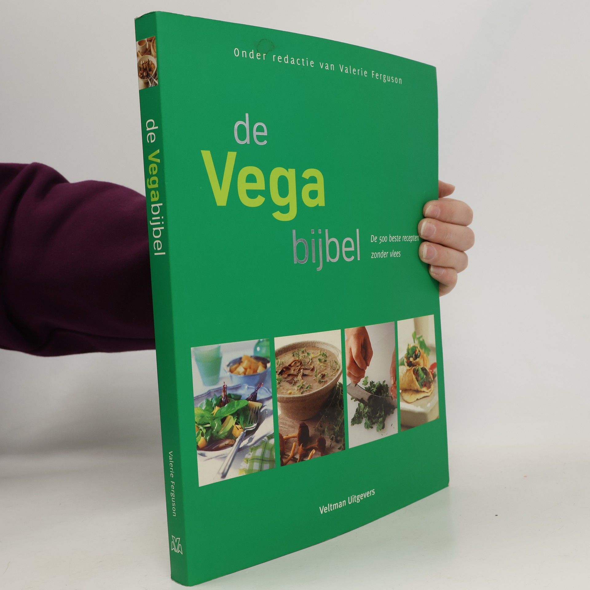 Valerie Ferguson De vegabijbel