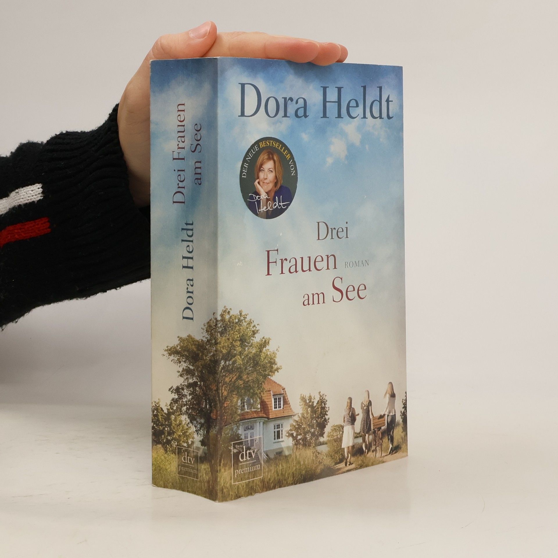 Dora Heldt Drei Frauen am See