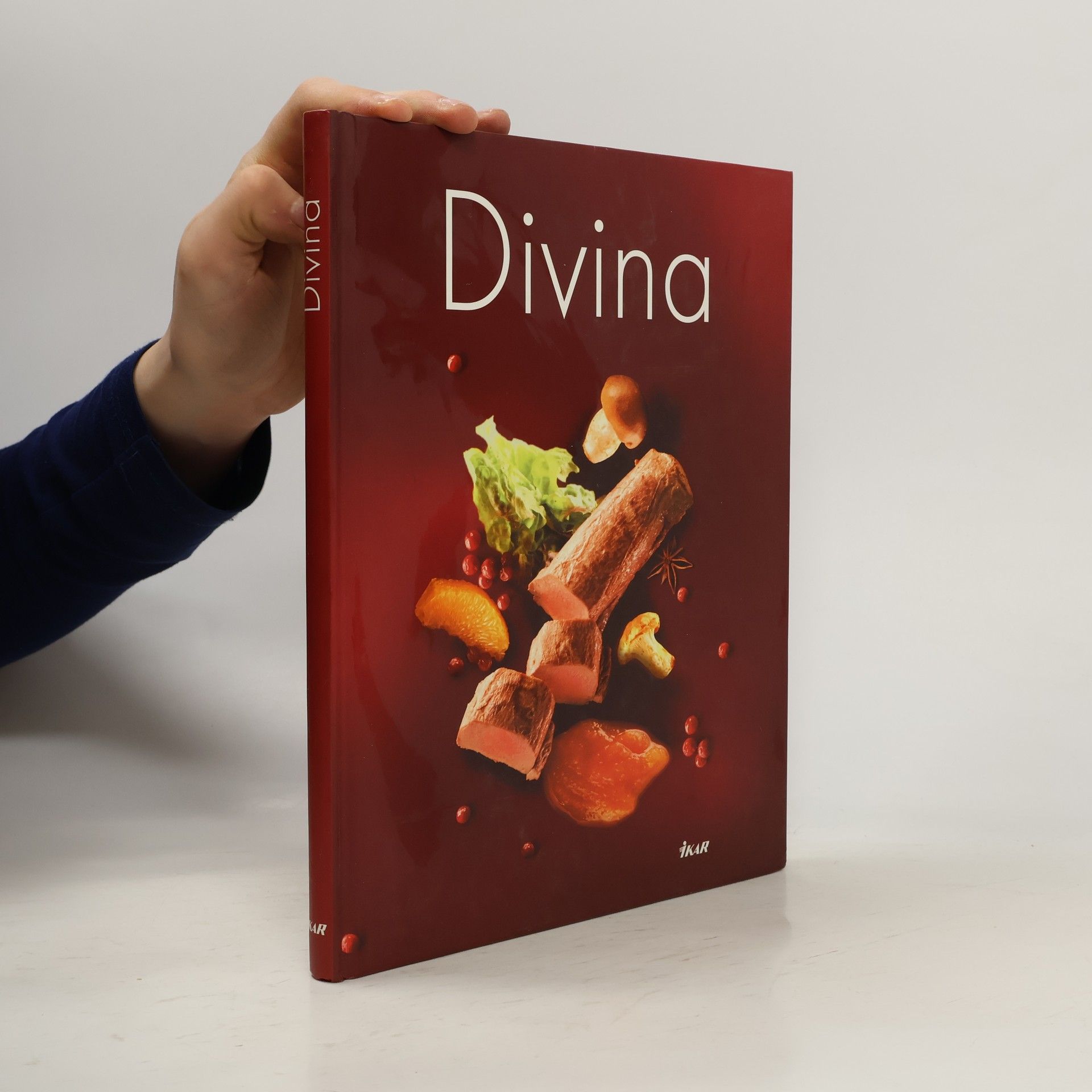 Kolektiv autorů Divina