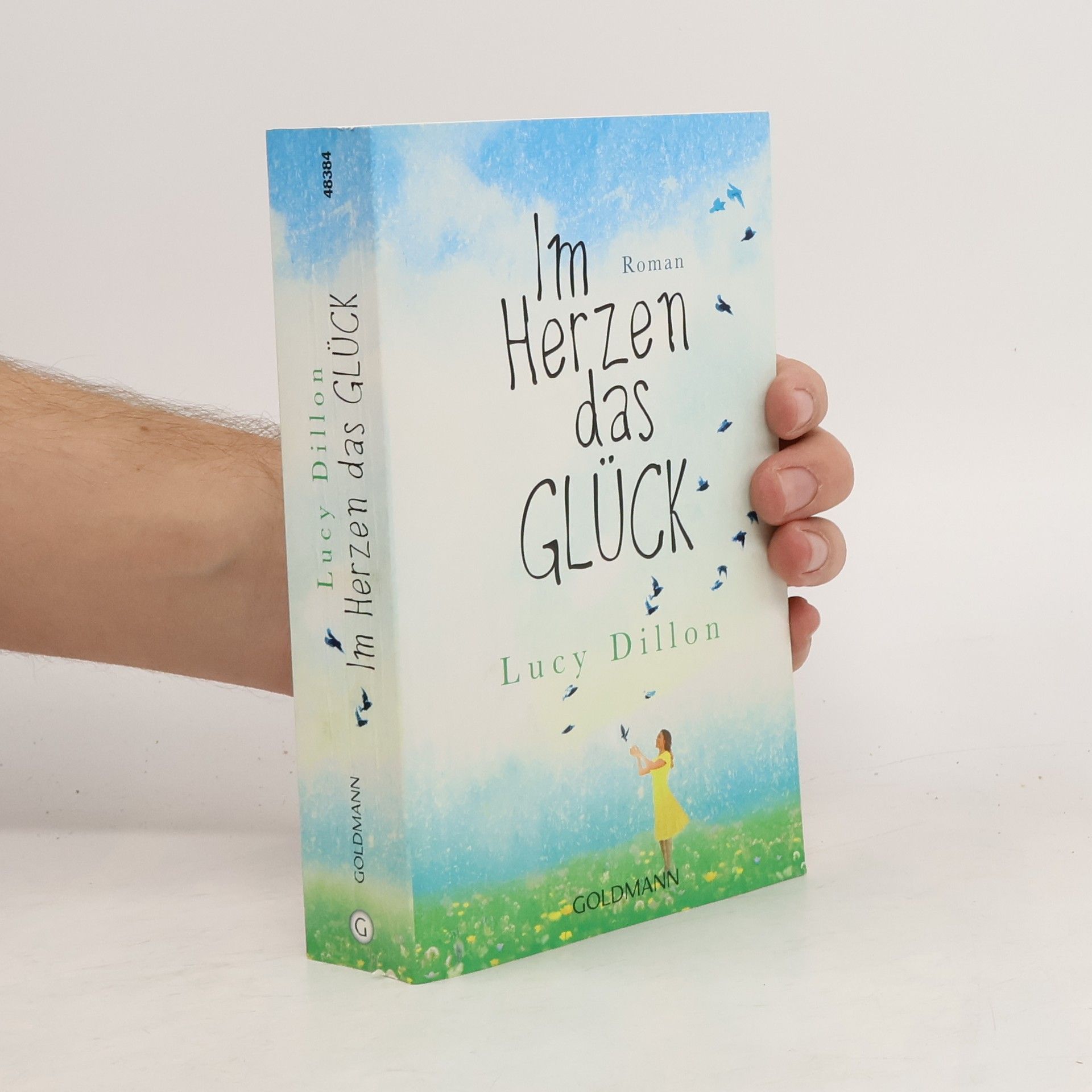 Lucy Dillon Im Herzen das Glück