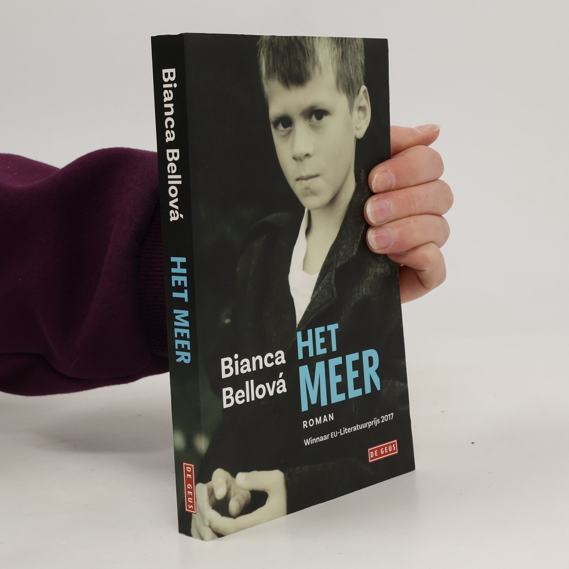 Bianca Bellová Het meer