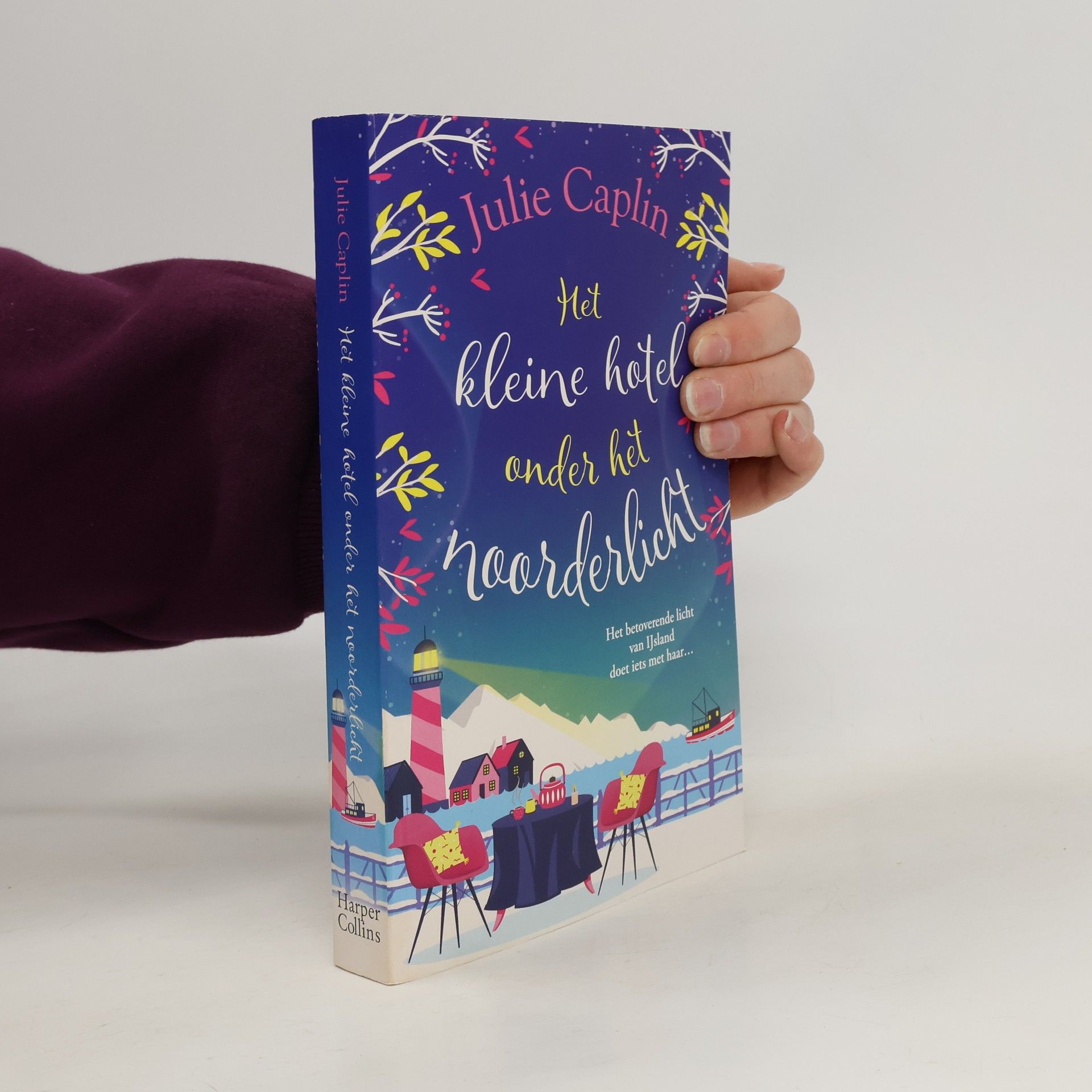 Het kleine hotel onder het noorderlicht