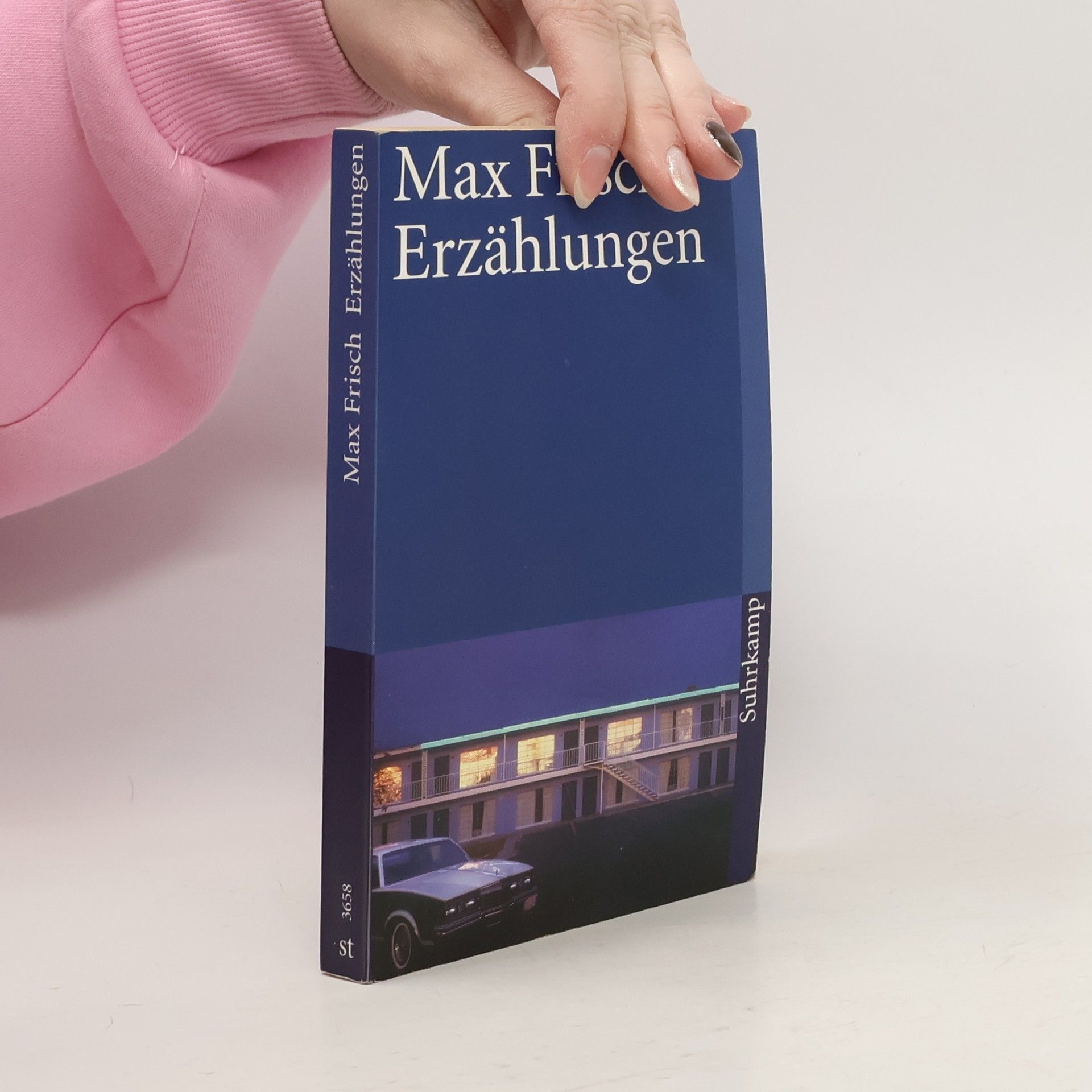 Max Frisch Erzählungen