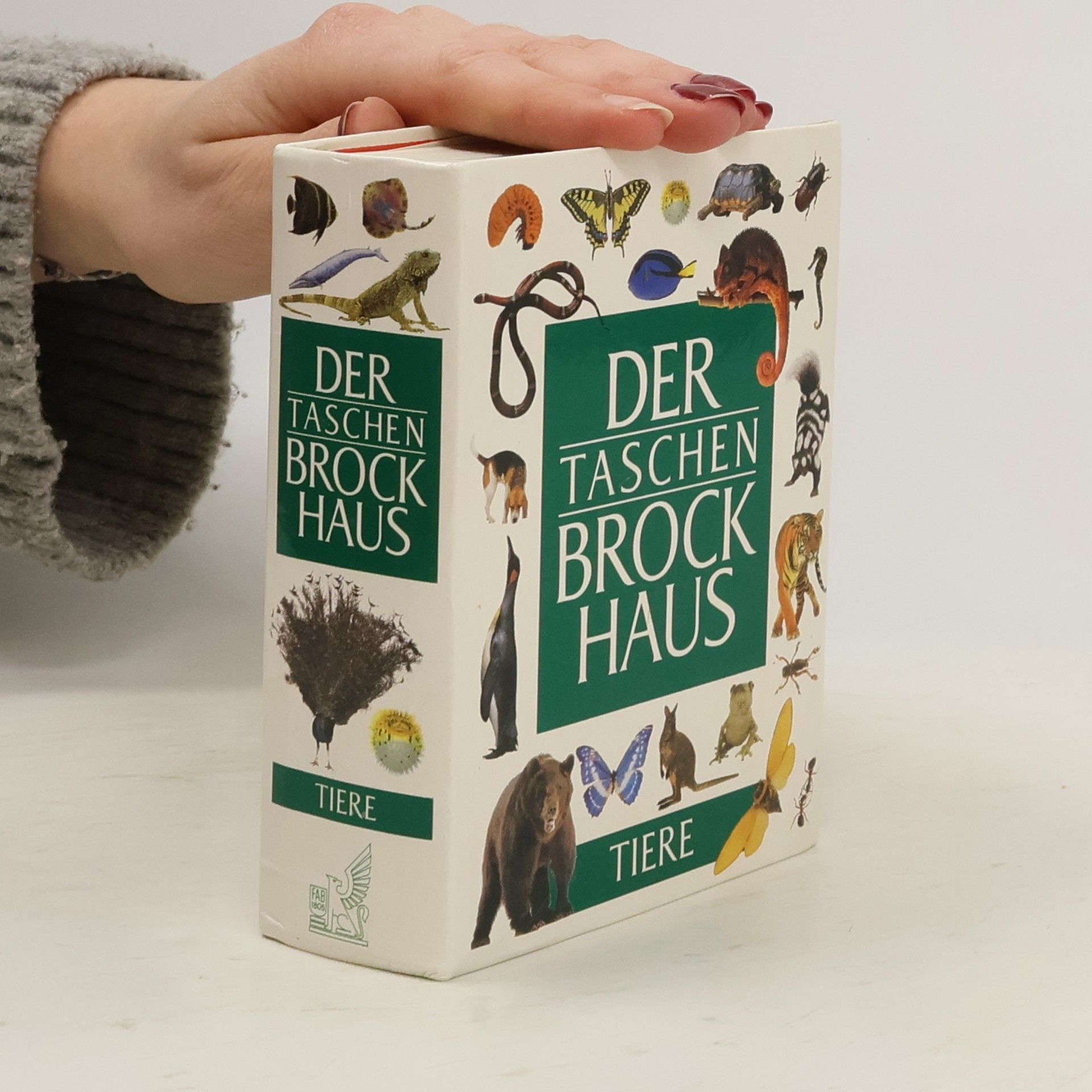 Kolektiv autorů Der Taschen-Brockhaus