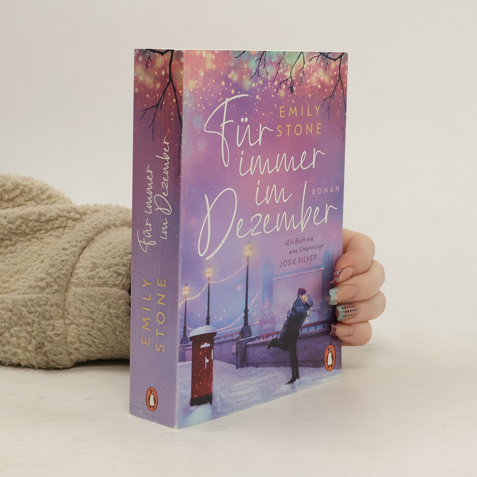 Stone Emily Für immer im Dezember