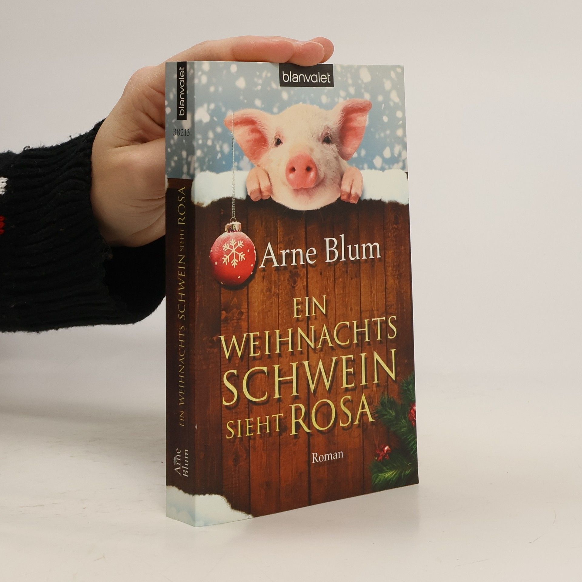 Arne Blum Ein Weihnachtsschwein sieht rosa