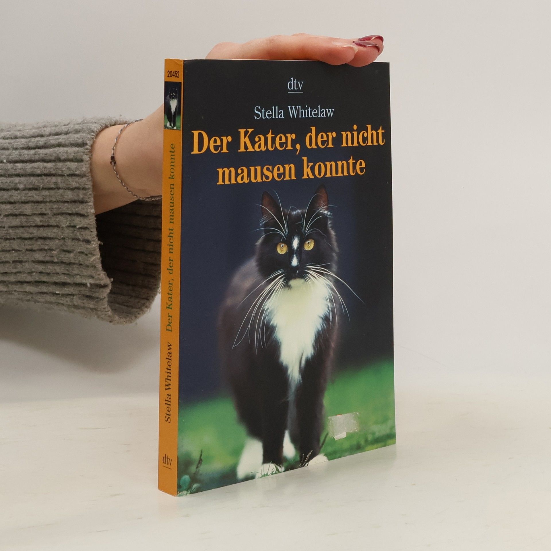 Stella Whitelaw Der Kater, der nicht mausen konnte