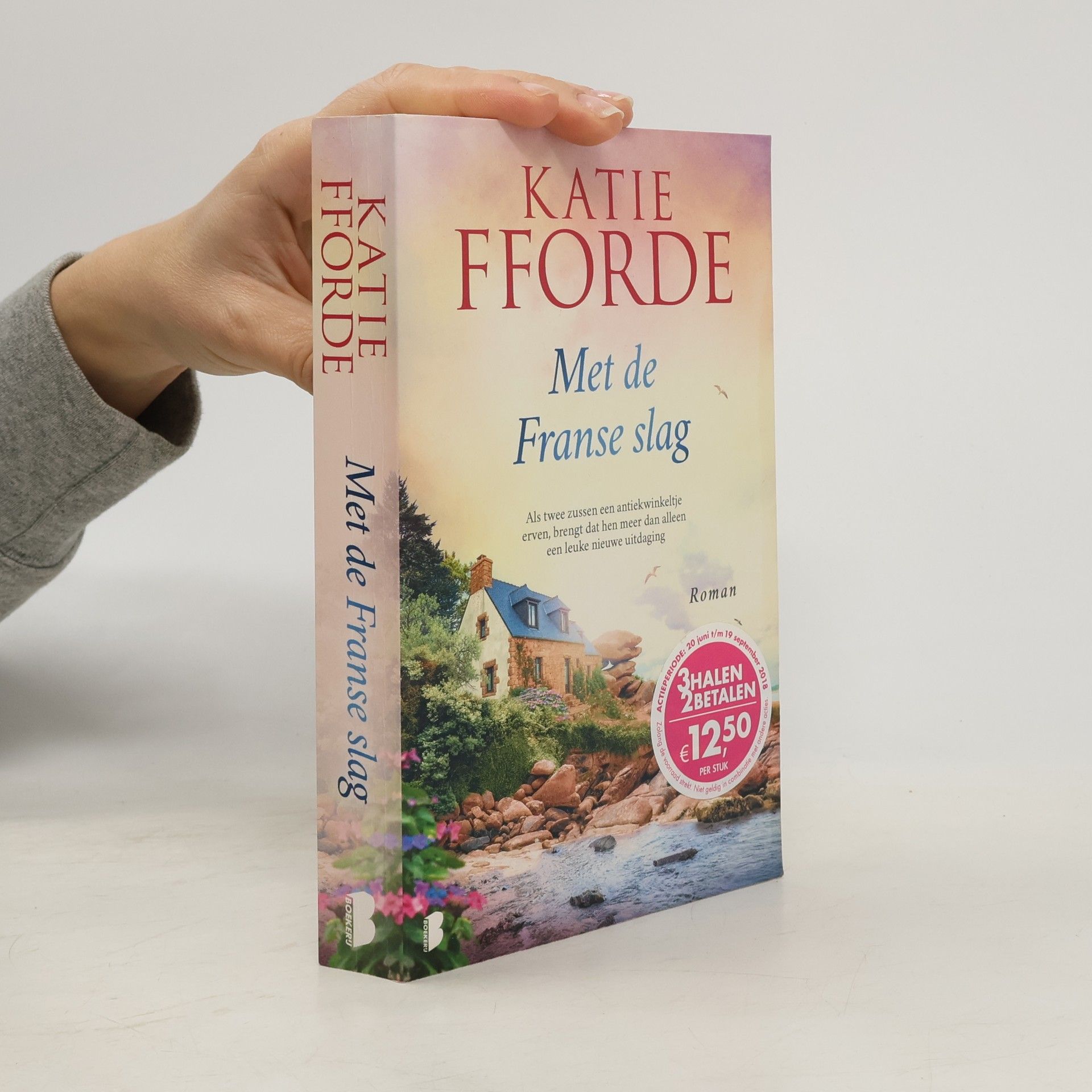 Katie Fforde Met de Franse slag