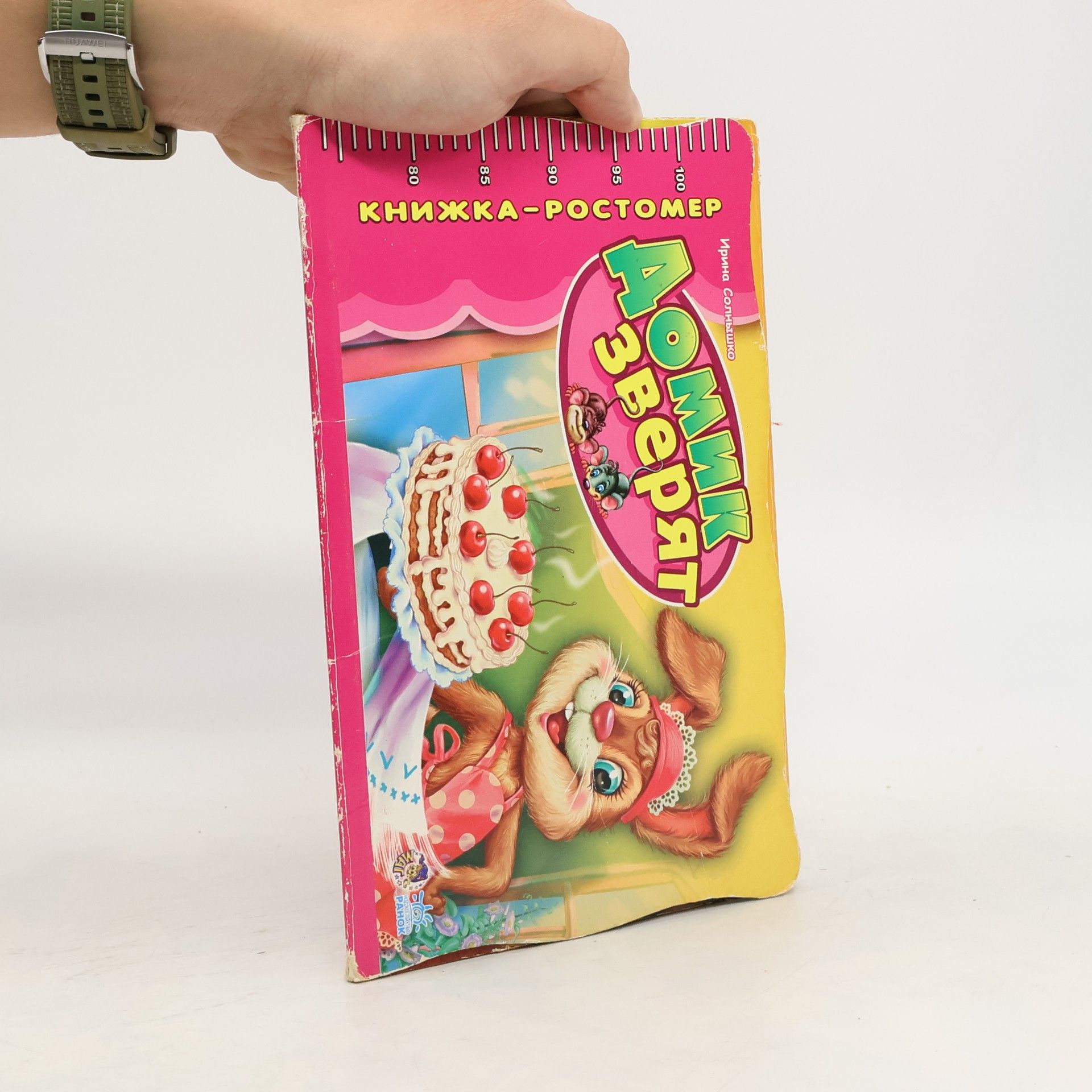 Ирина Солнышко Домик зверят