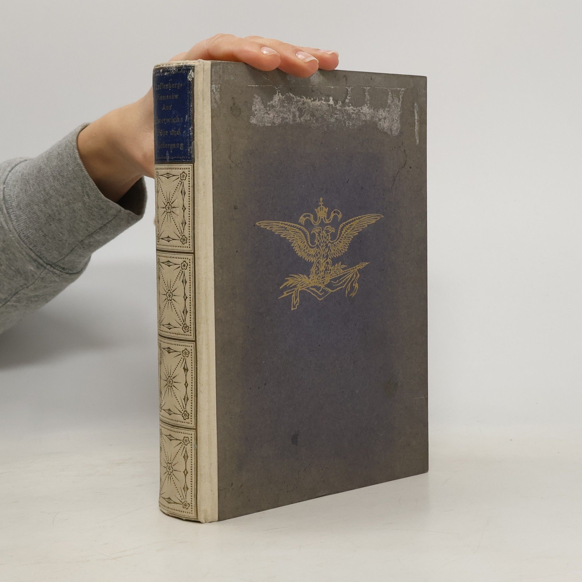 Moritz von Auffenberg-Komarów Aus Österreichs Höhe und Niedergang