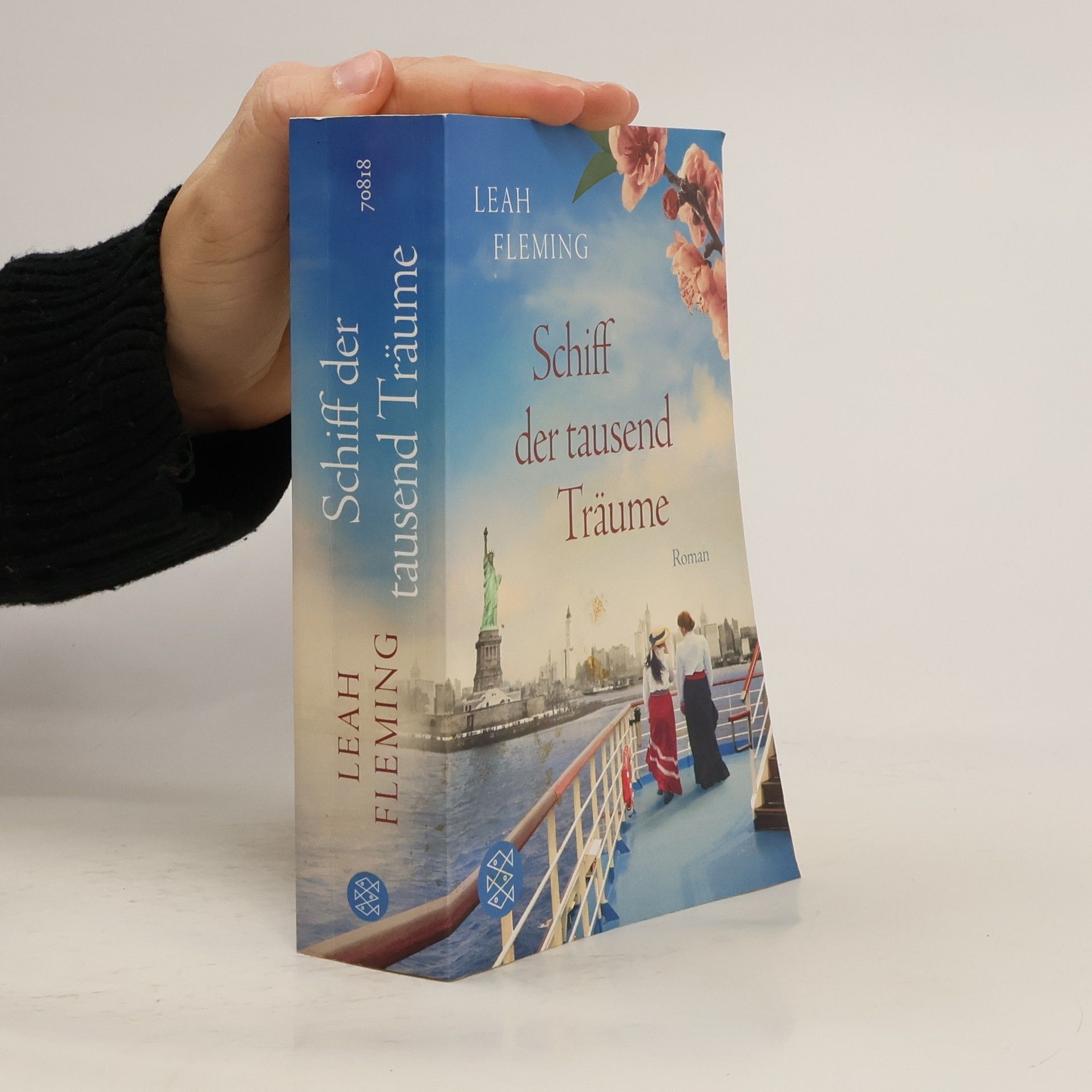 Leah Fleming Schiff der tausend Träume