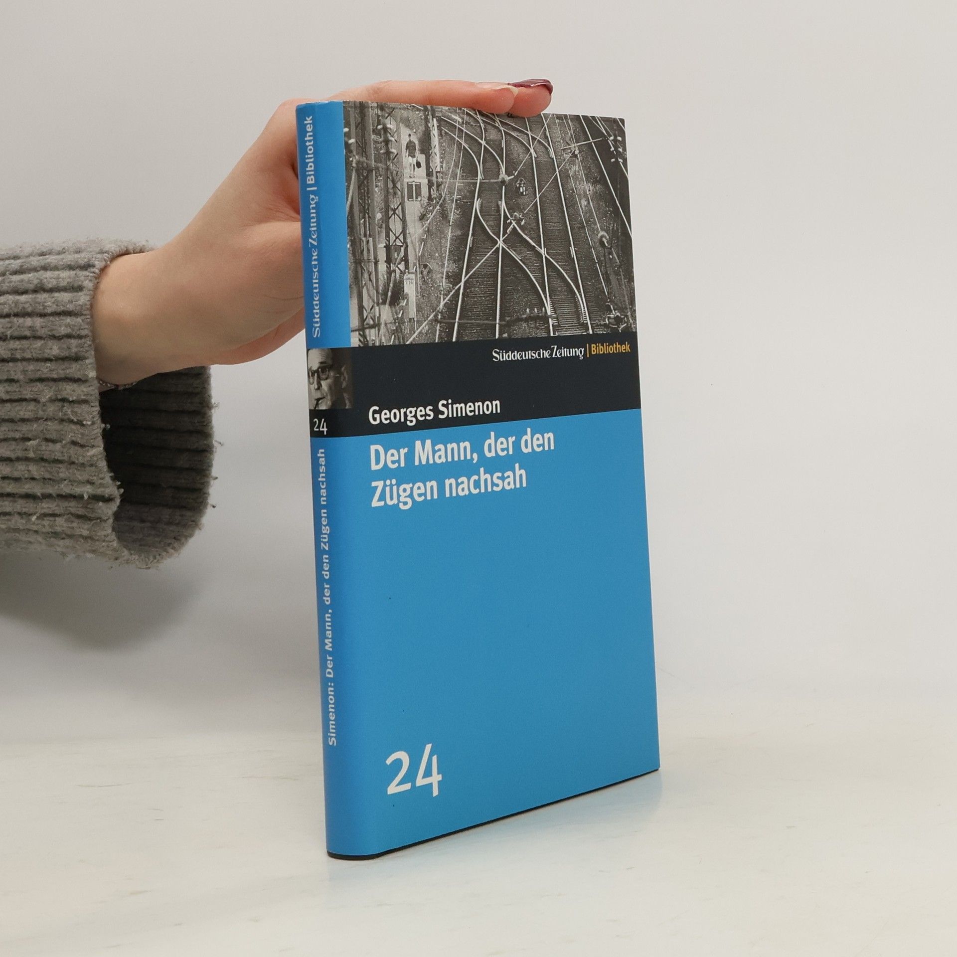 Georges Simenon Der Mann, der den Zügen nachsah