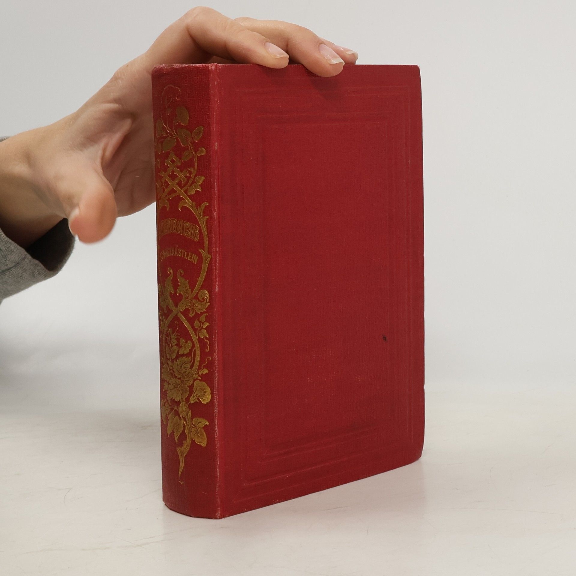 Berthold Auerbach Schaßkäsklein Des Gevattersmanns