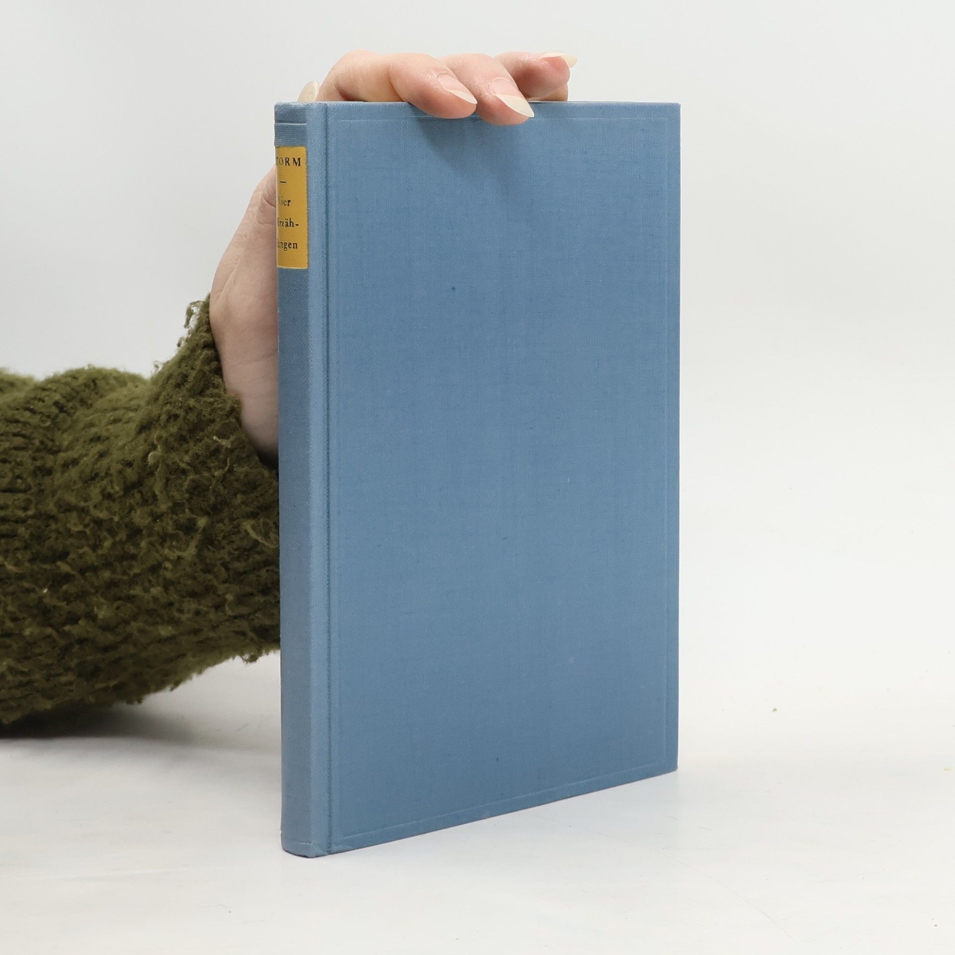 Theodor Storm Vier Erzählungen