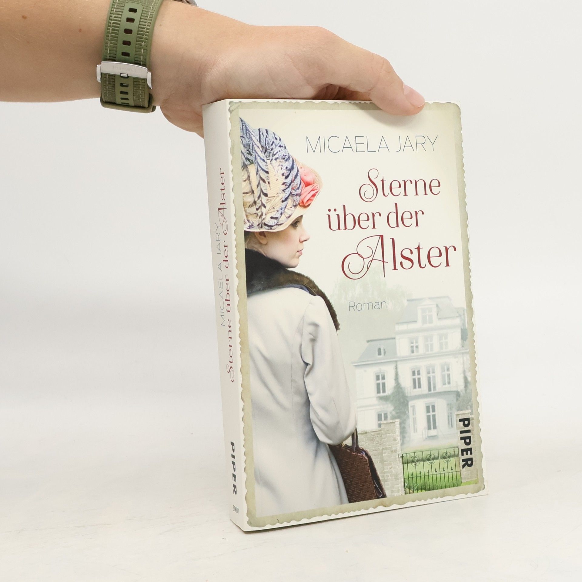 Micaela Jary Sterne über der Alster