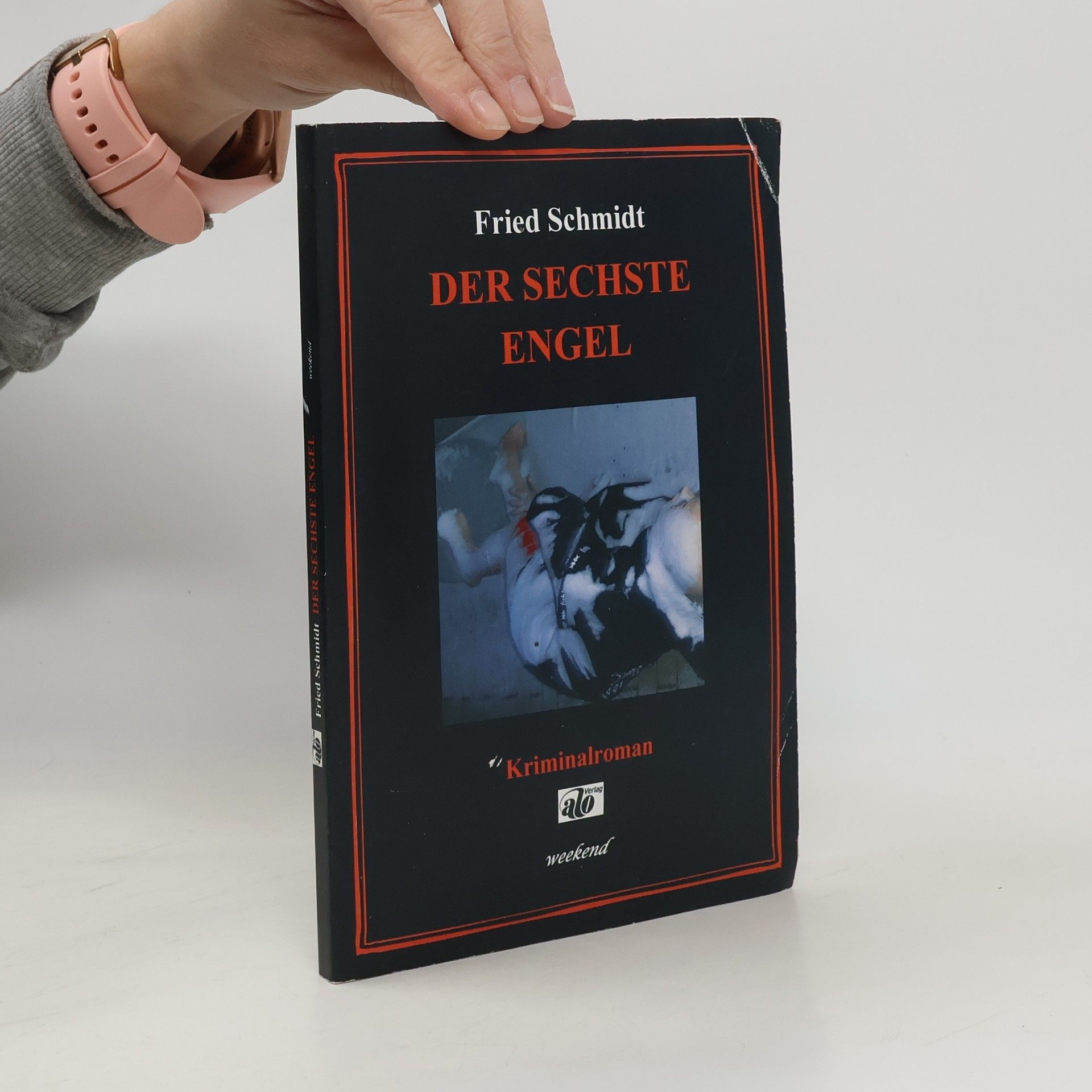 Fried Schmidt Der sechste Engel