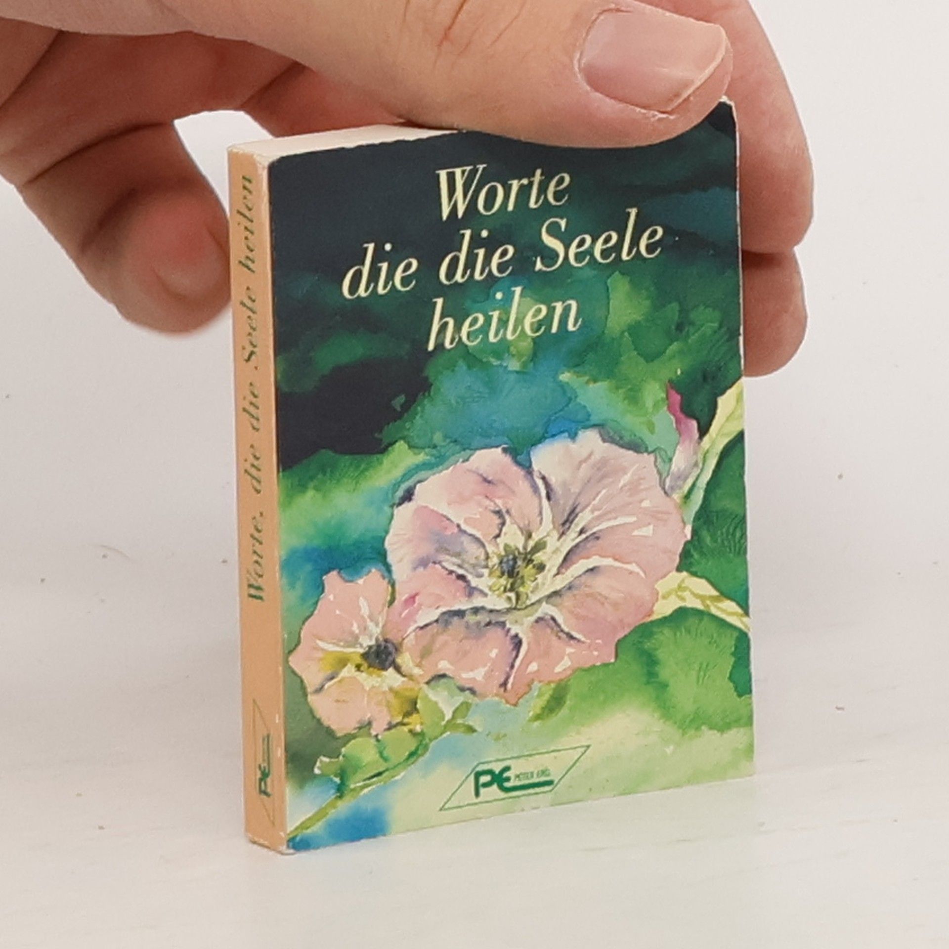 Autorenkollektiv Worte, die die Seele heilen