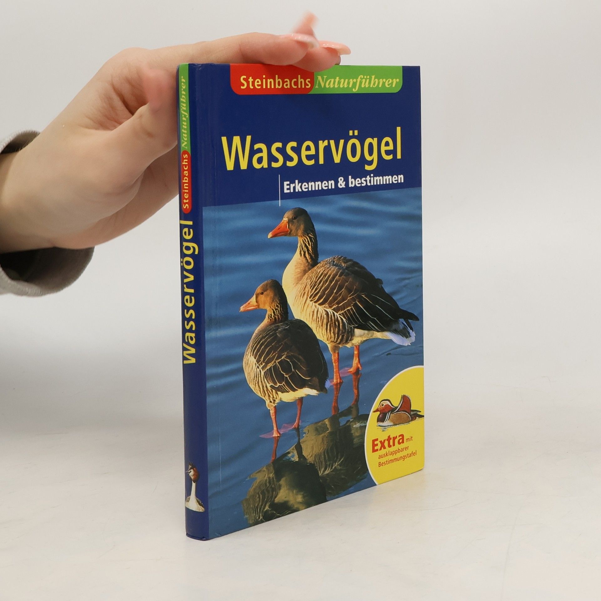 Anne Puchta Wasservögel