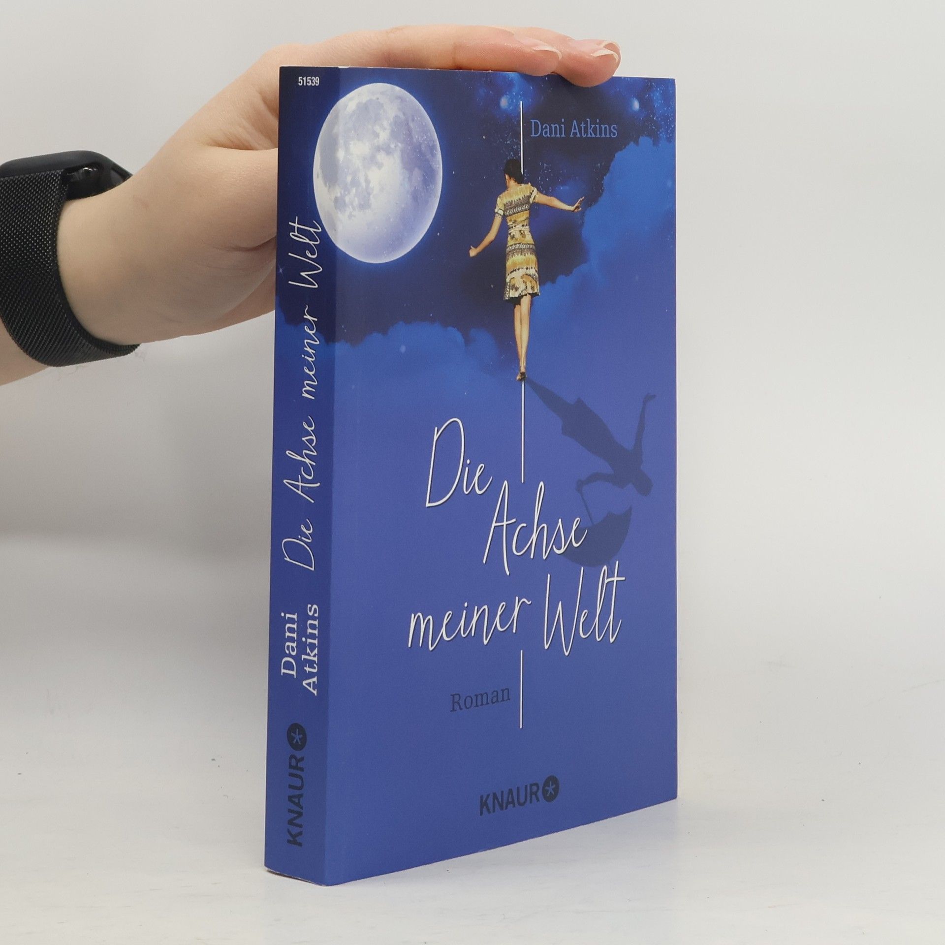 Dani Atkins Die Achse meiner Welt