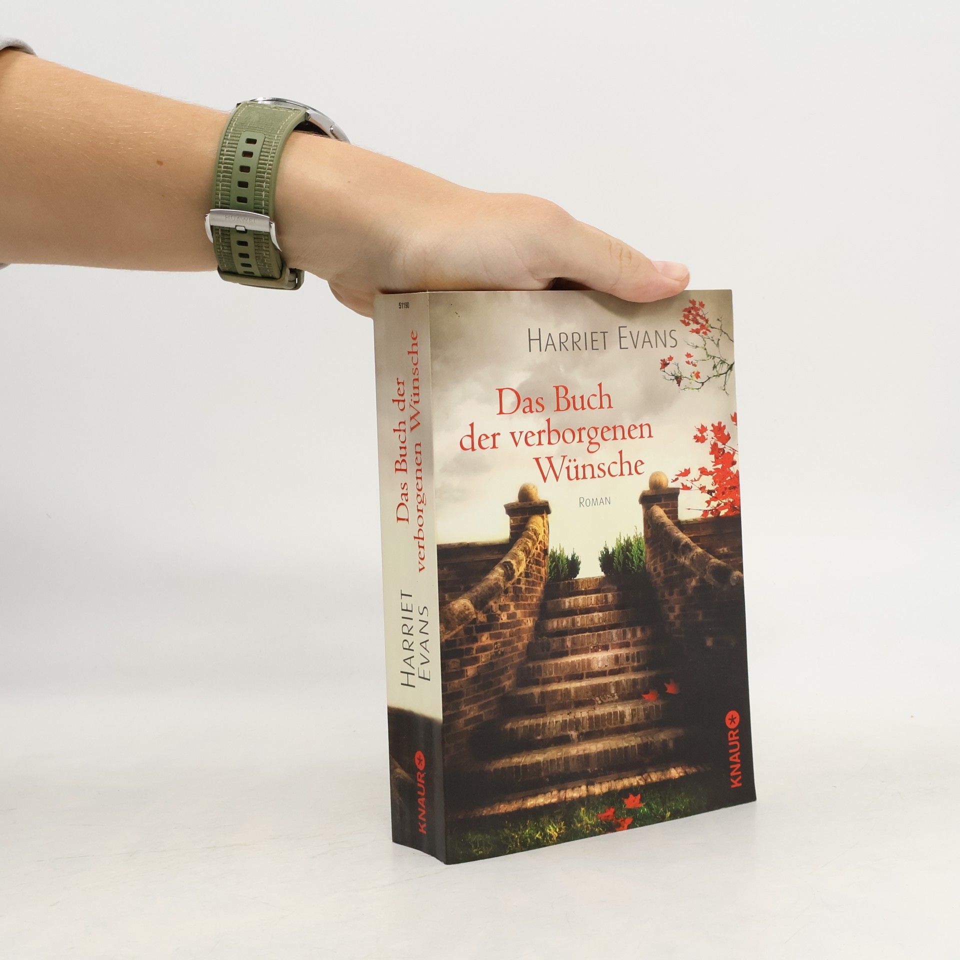 Das Buch der verborgenen Wünsche