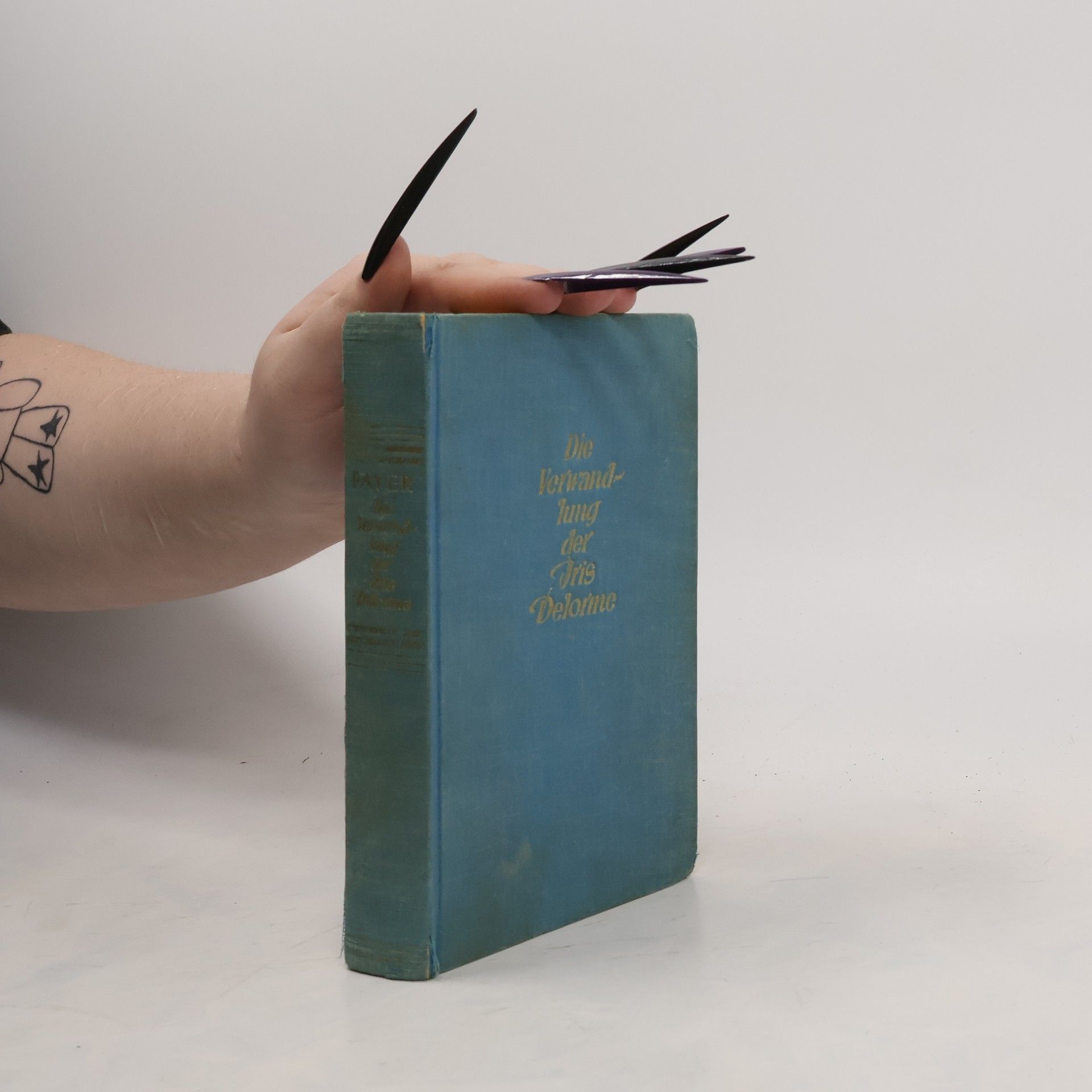 Trude Payer Die Verwandlung der Iris Delorme