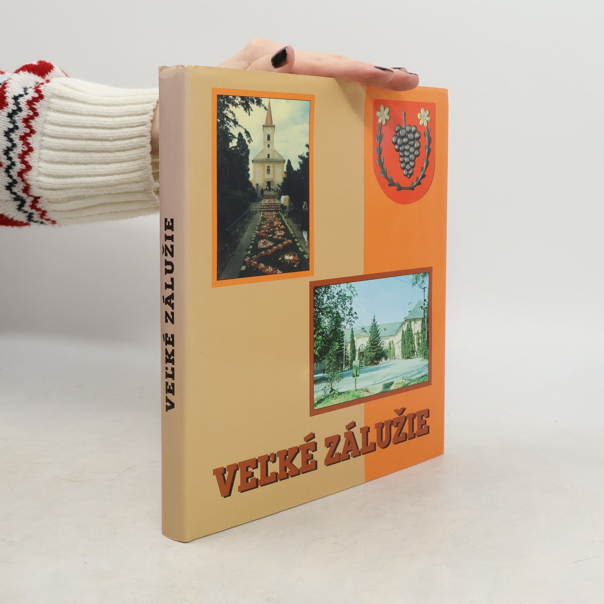 Daniel Bédi Veľké Zálužie