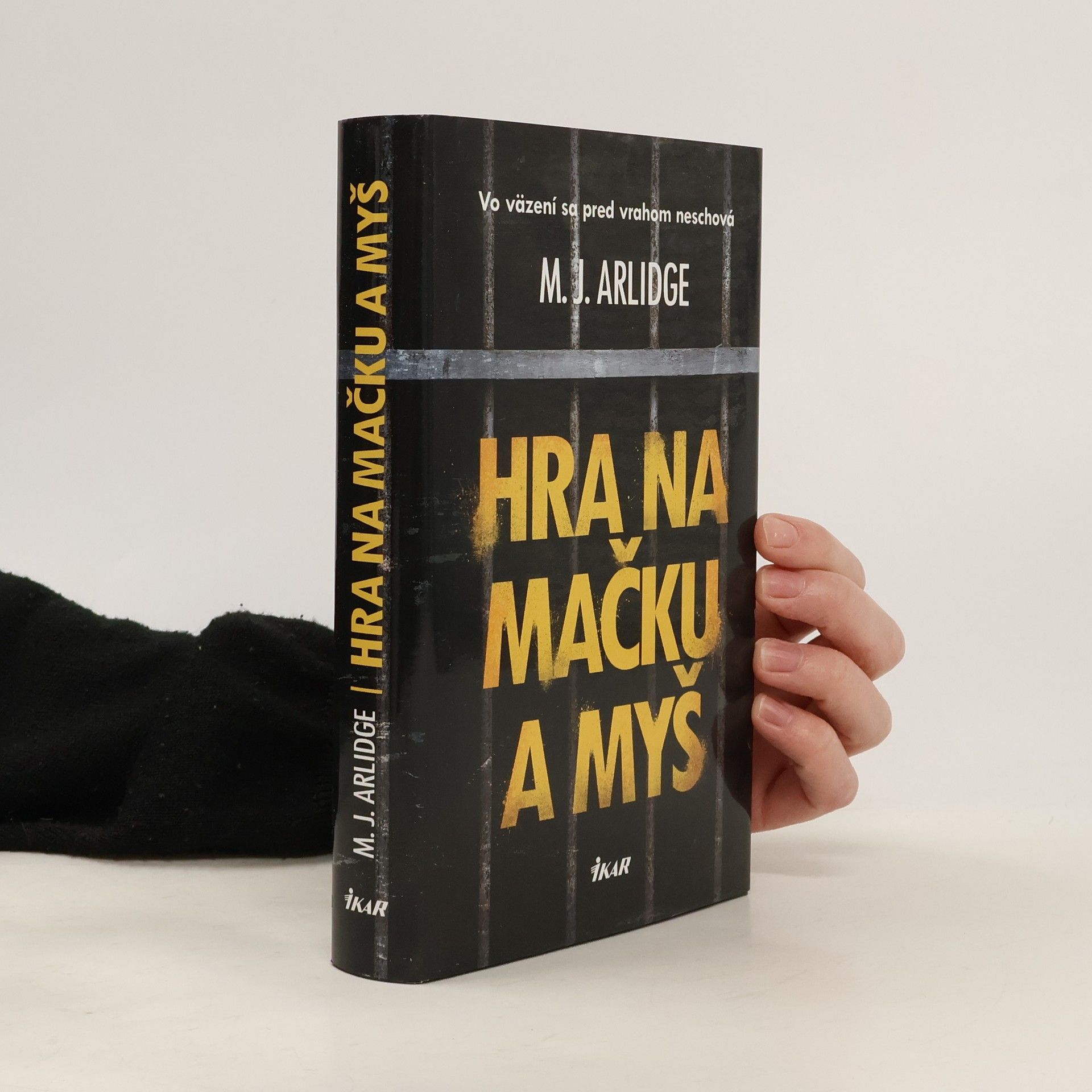 M. J. Arlidge Hra na mačku a myš