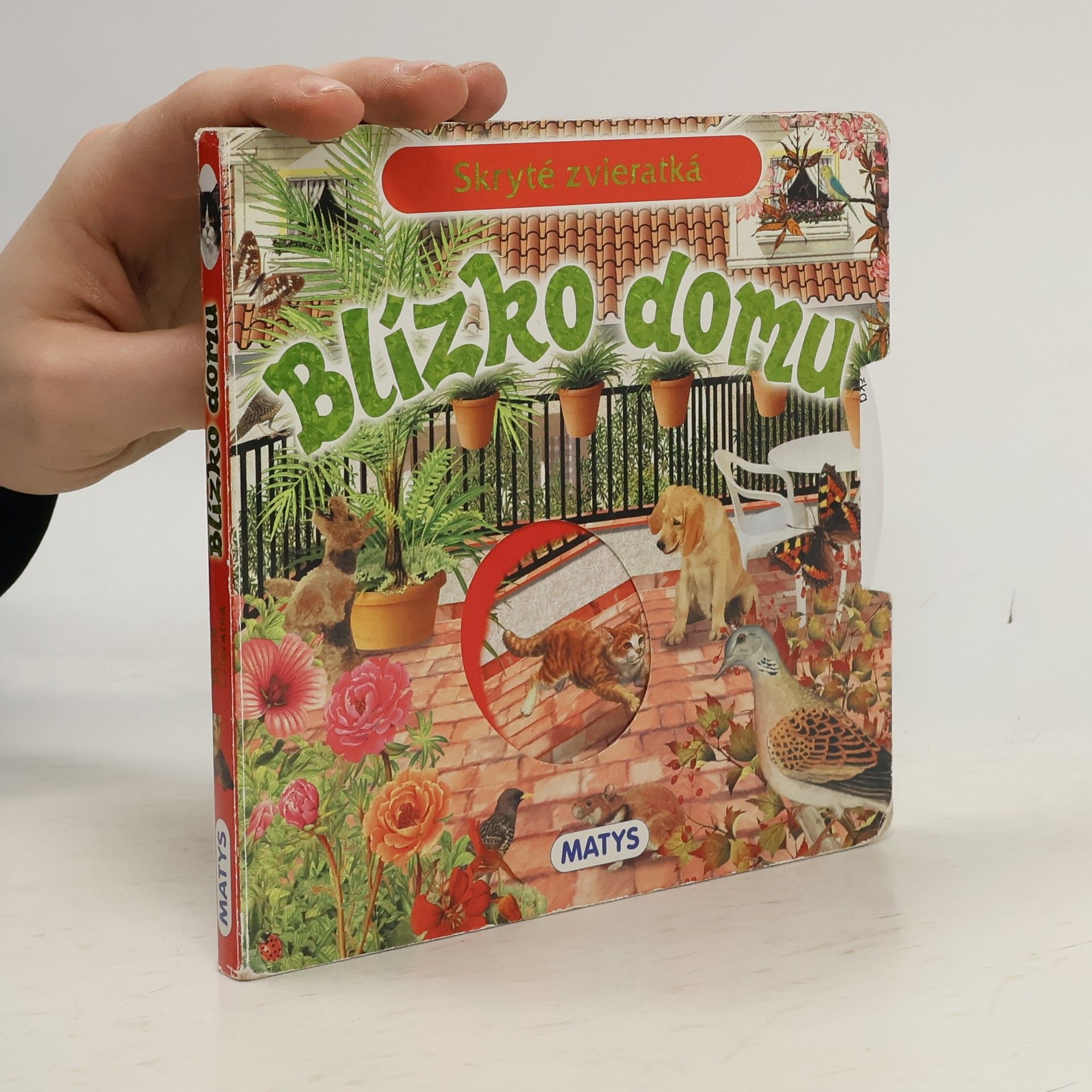 Autorenkollektiv Skryté zvieratká - Blízko domu