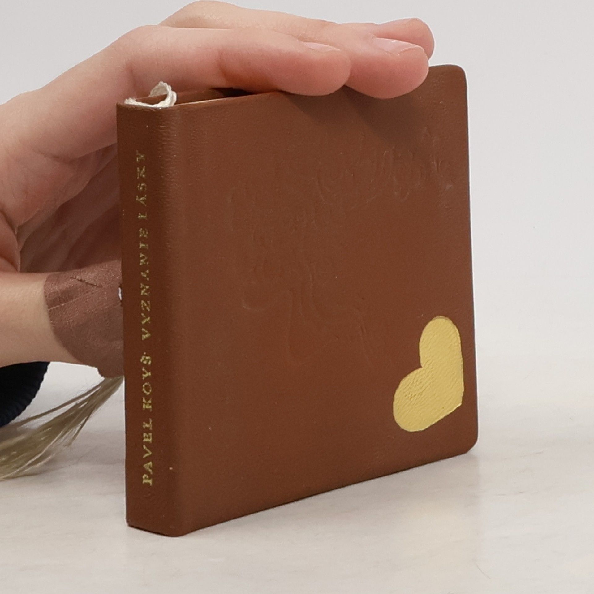 Pavel Koyš Vyznanie lásky