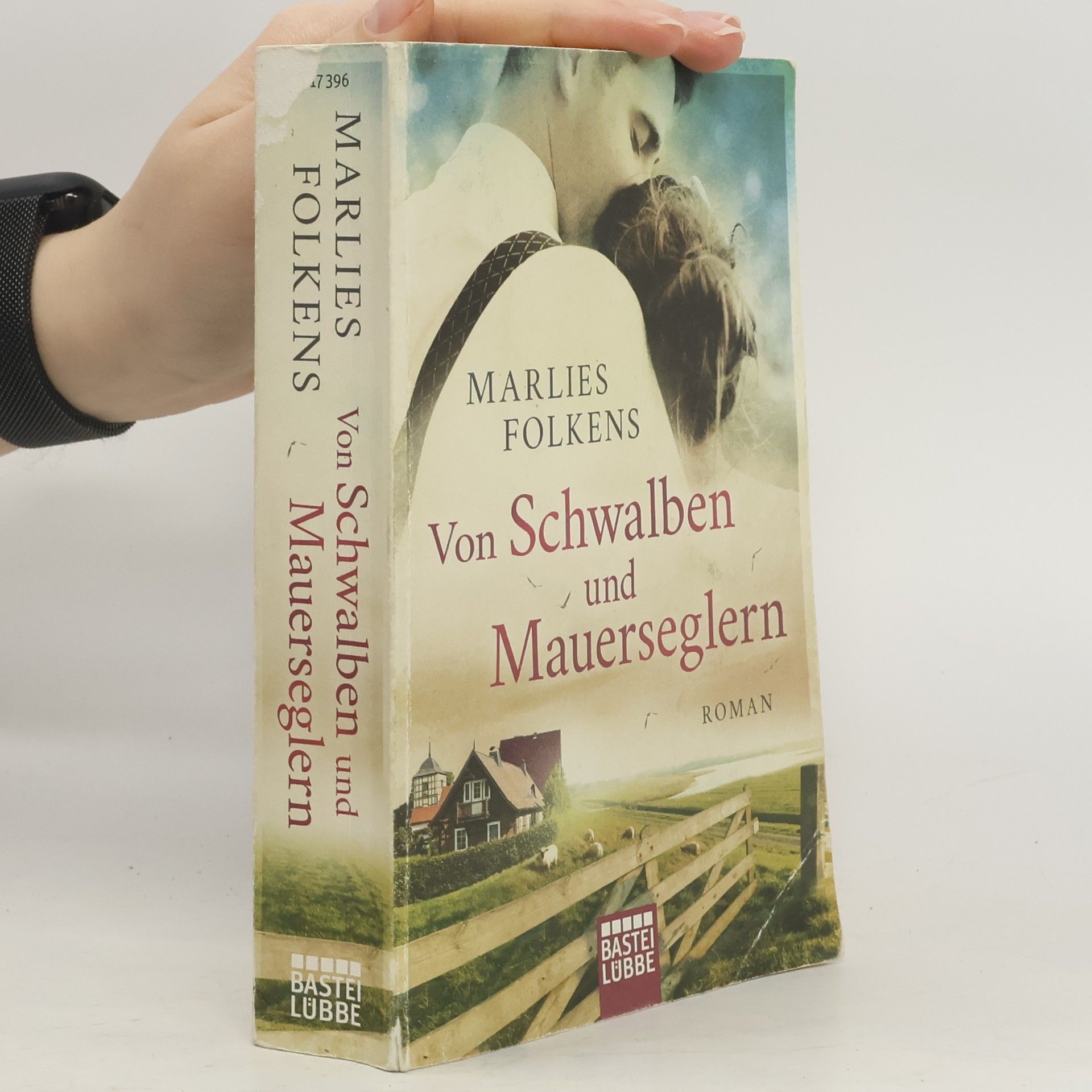 Marlies Folkens Von Schwalben und Mauerseglern