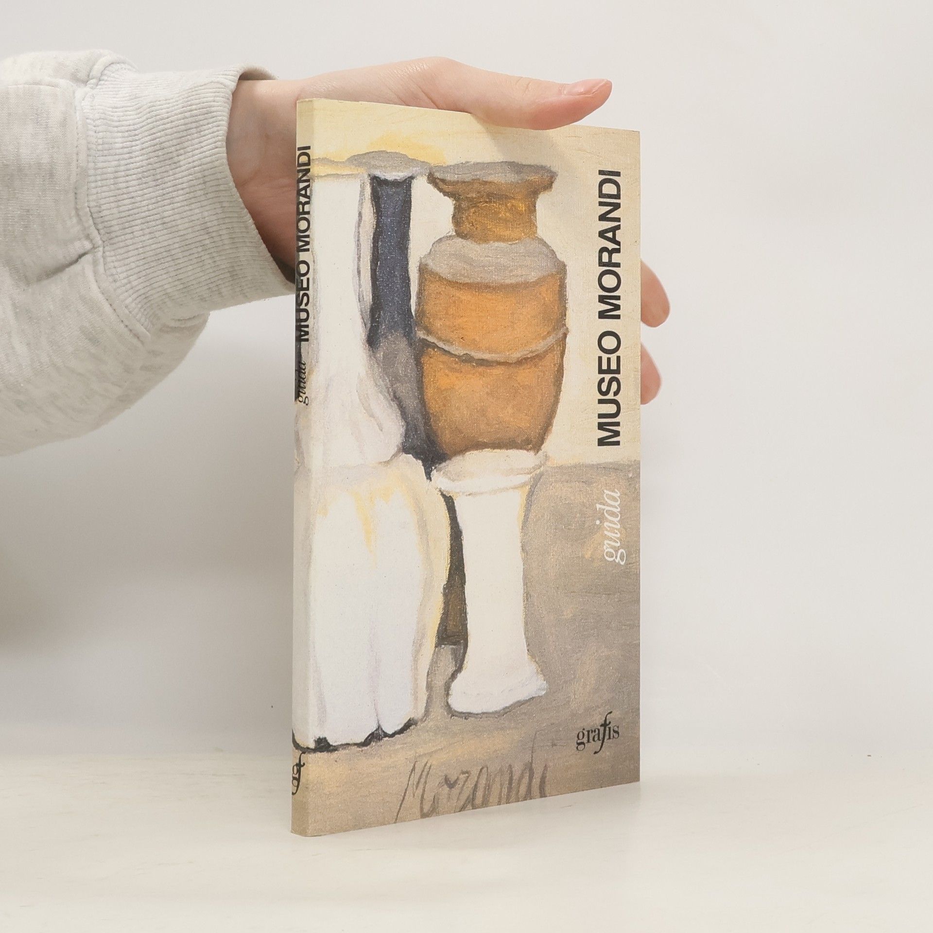 Museo Morandi. Guida