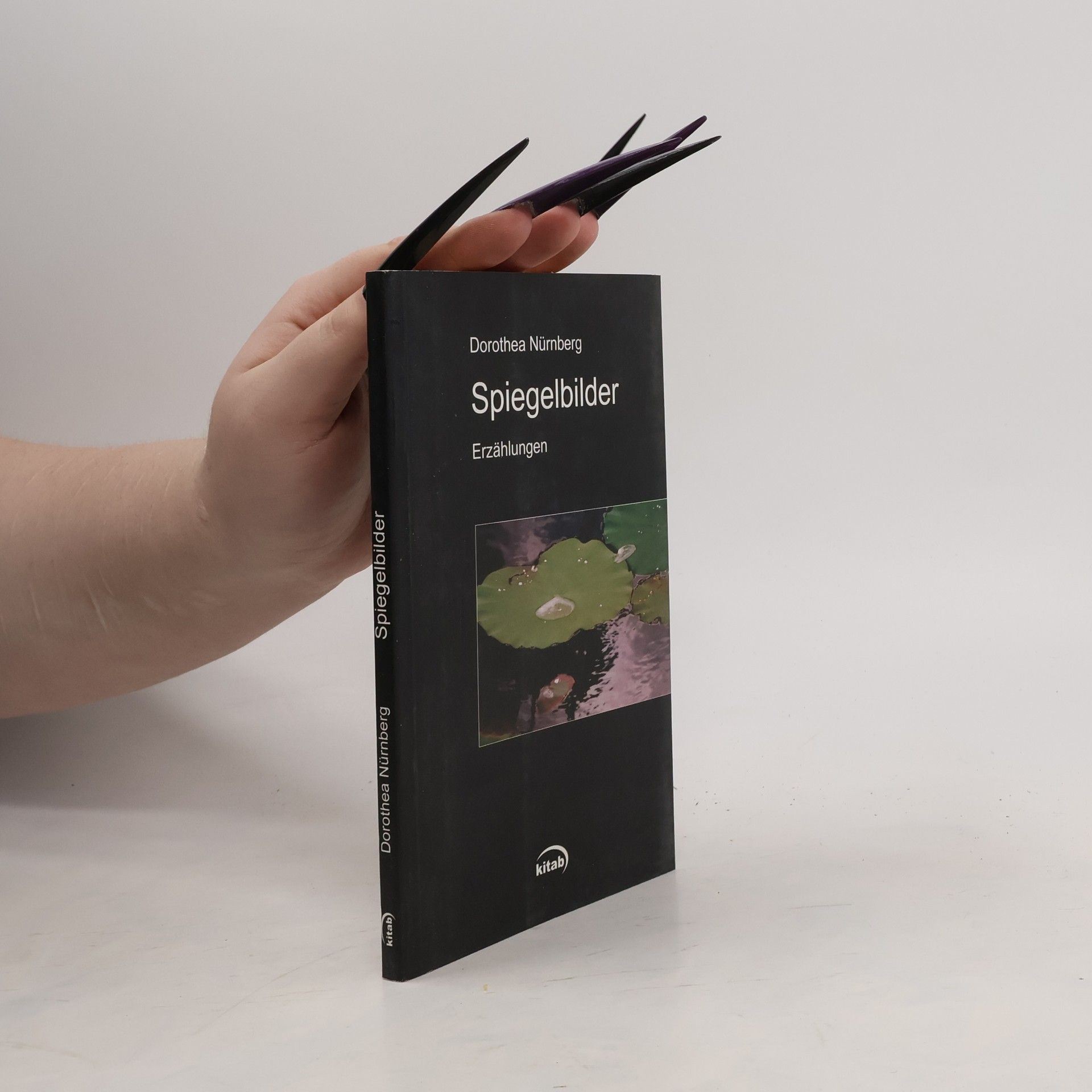 Dorothea Nürnberg Spiegelbilder