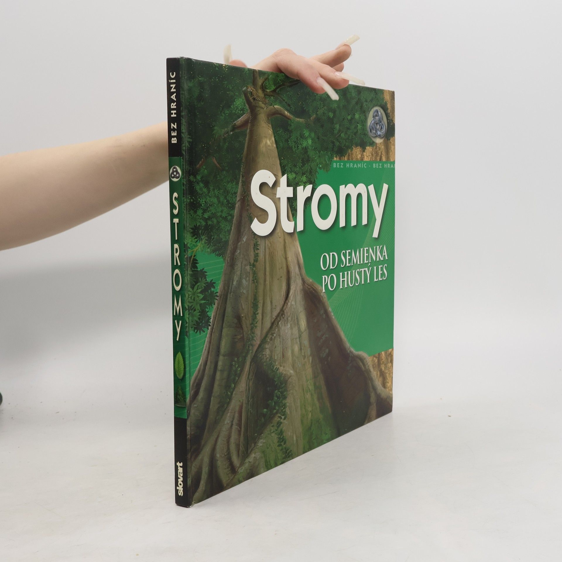 Stromy – Od semienka po hustý les