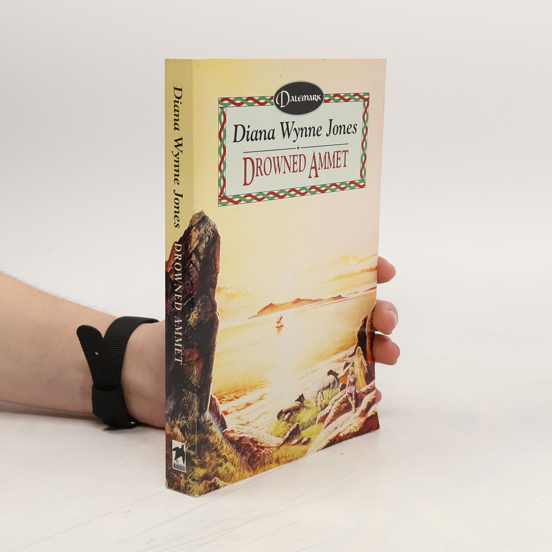 Diana Wynne Jones Drowned Ammet