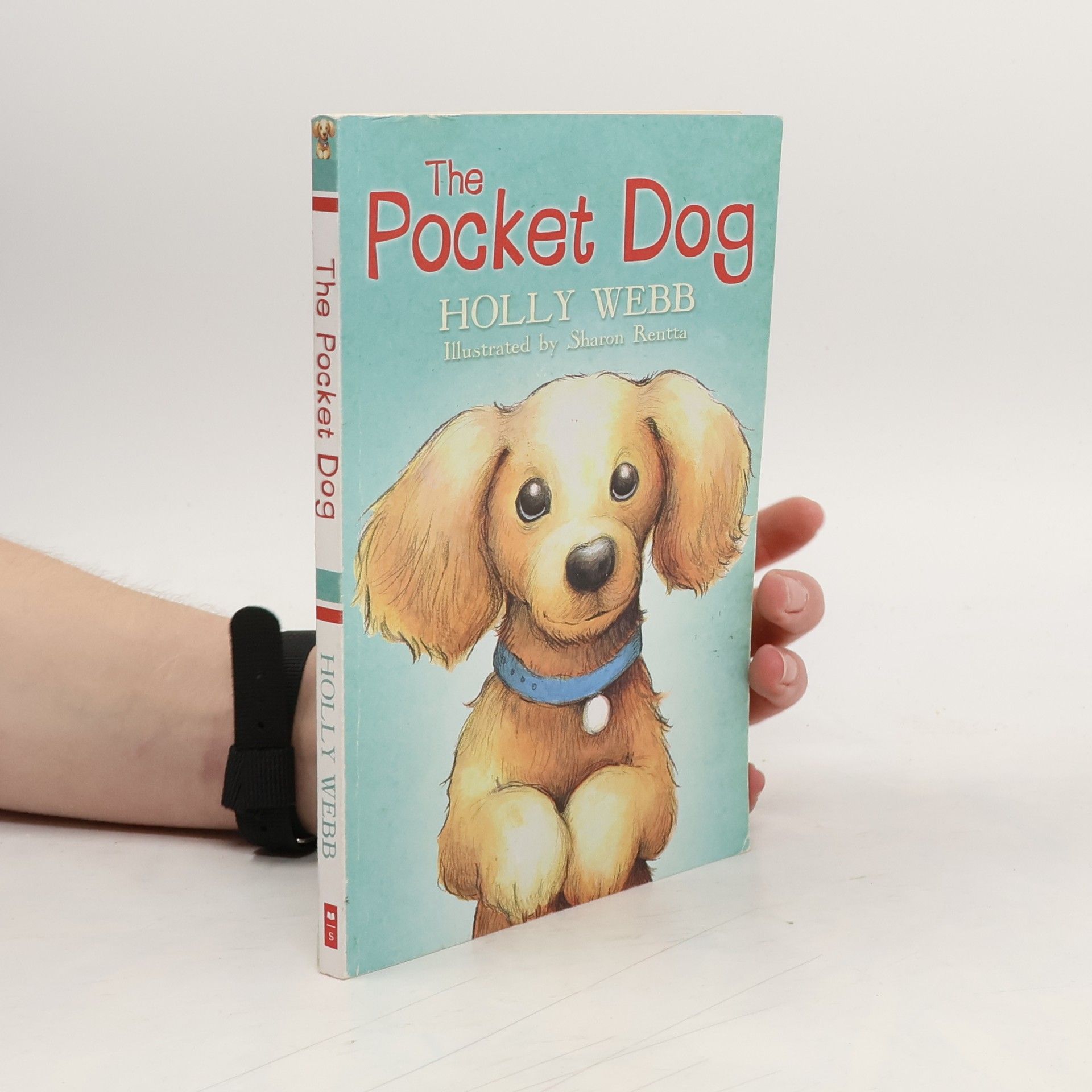 Holly Webb The Pocket Dog