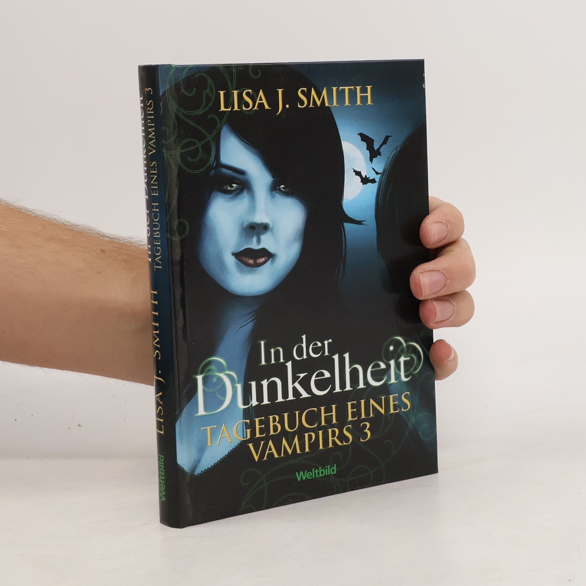 Lisa Jane Smith Tagebuch eines Vampirs 3. In der Dunkelheit