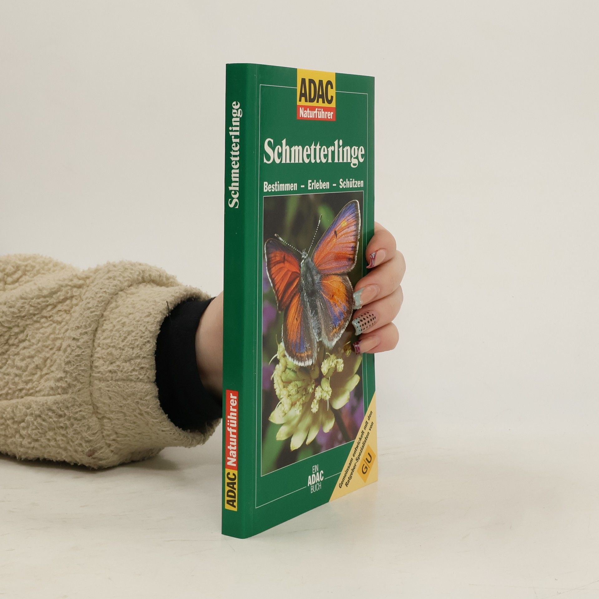 Helga Hofmann Schmetterlinge