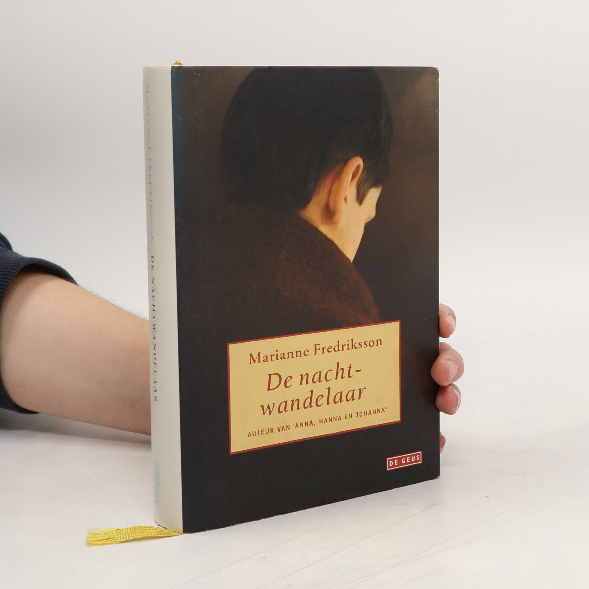 Marianne Fredriksson De nachtwandelaar