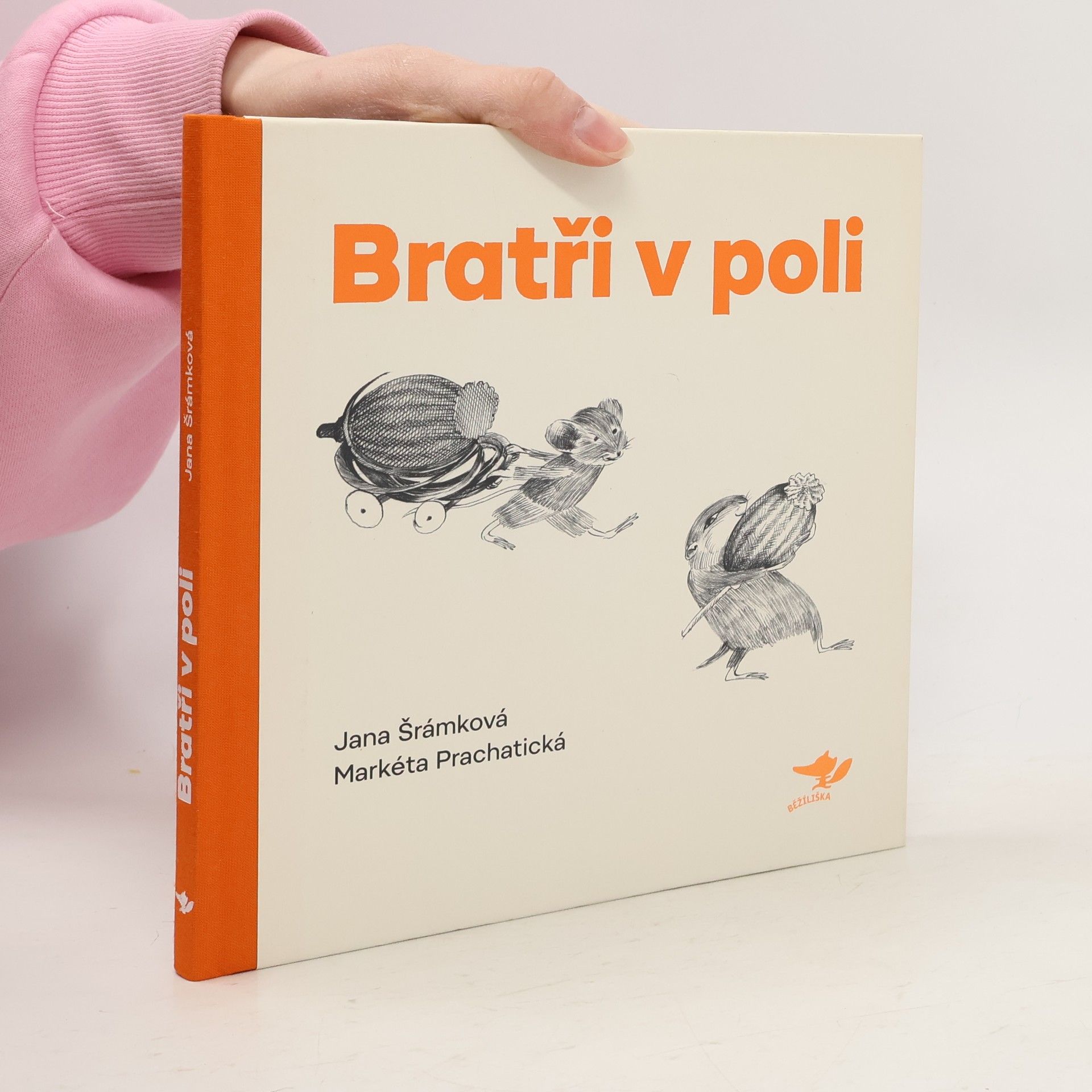Bratři v poli