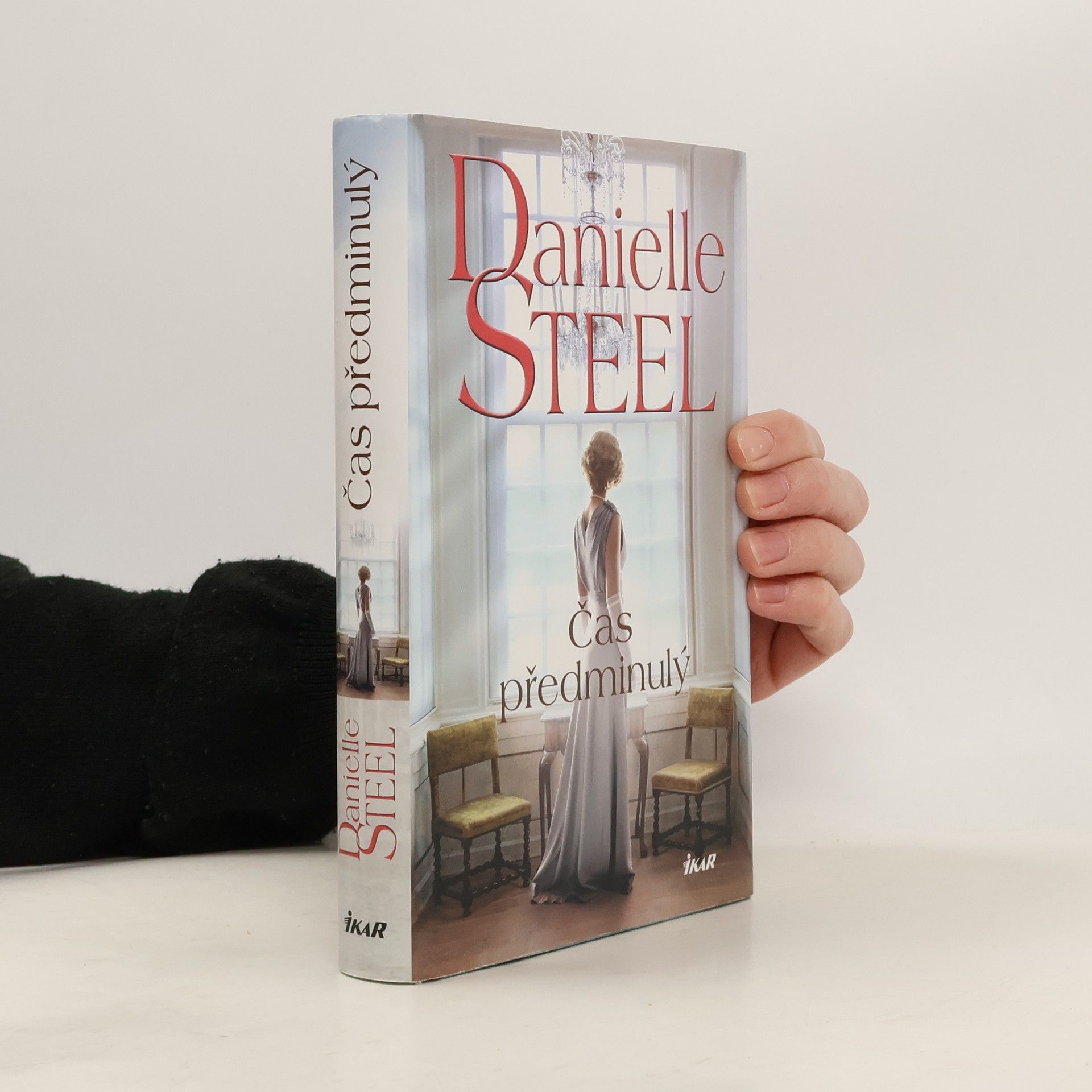 Danielle Steel Čas předminulý