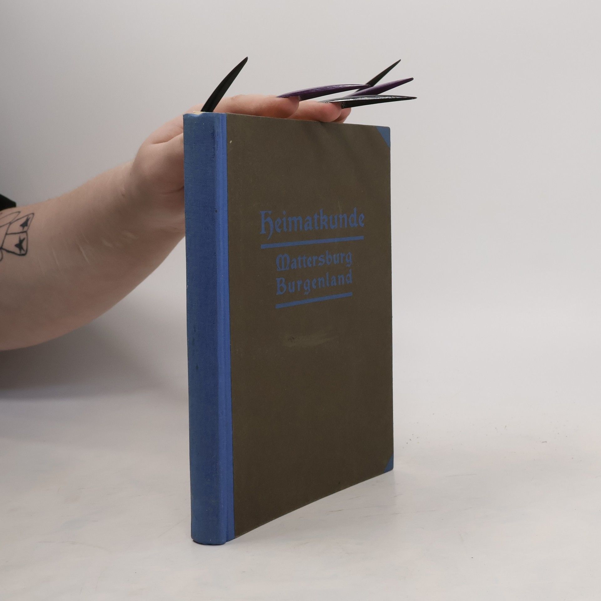 Ernst Löger Heimatkunde des Bezirkes Mattersburg im Burgenland