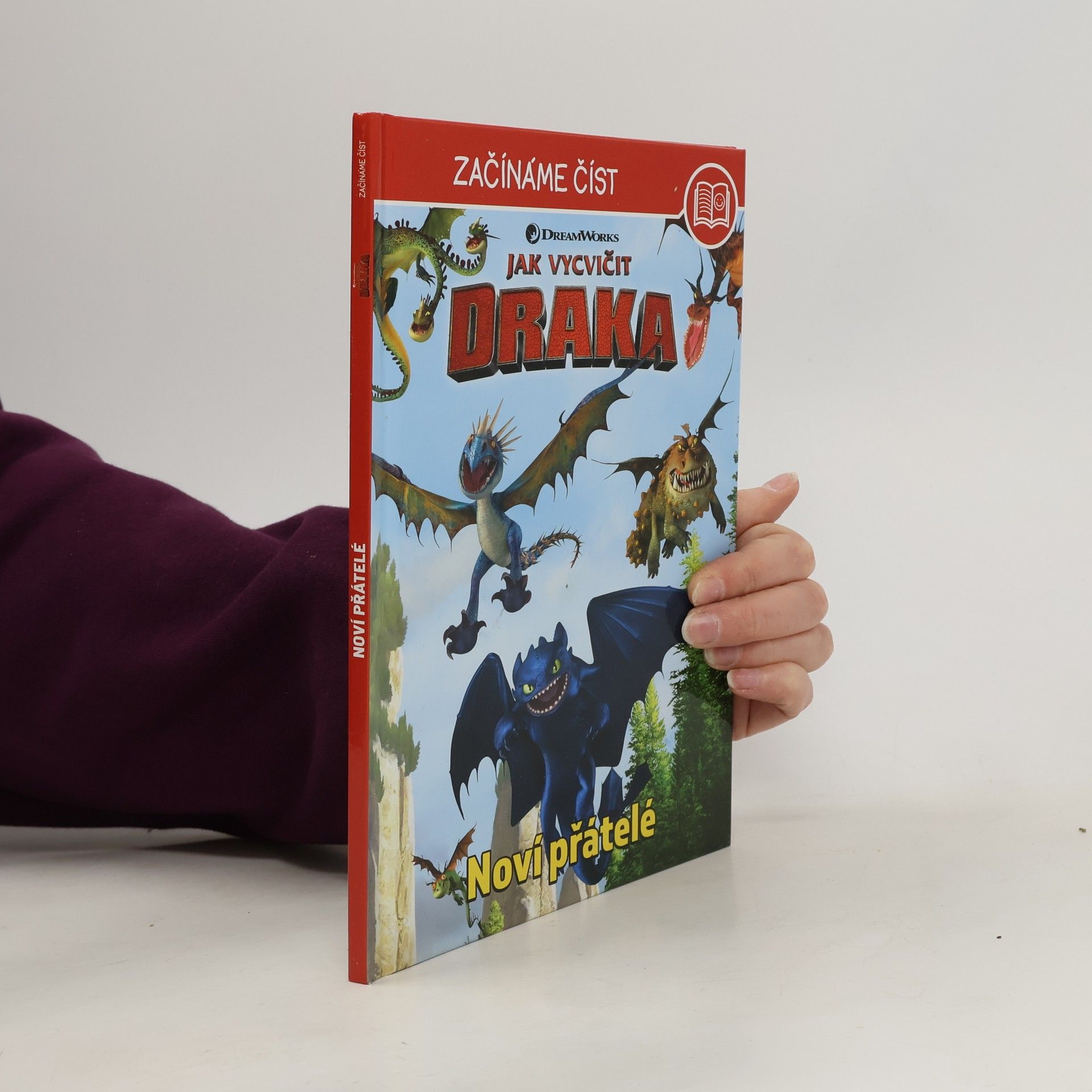Irena Steinerová Jak vycvičit draka