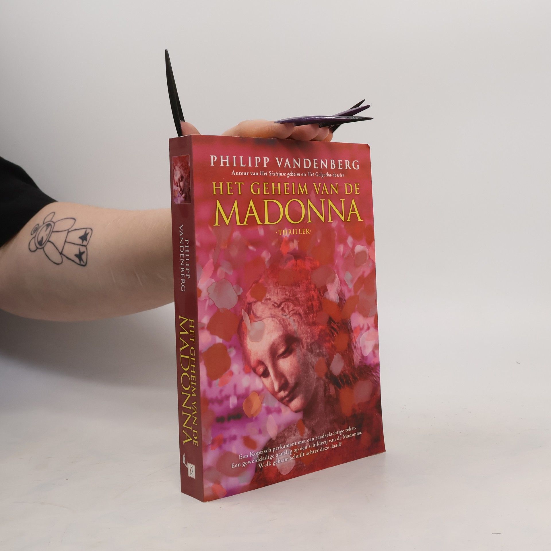 Philipp Vandenberg Het geheim van de Madonna