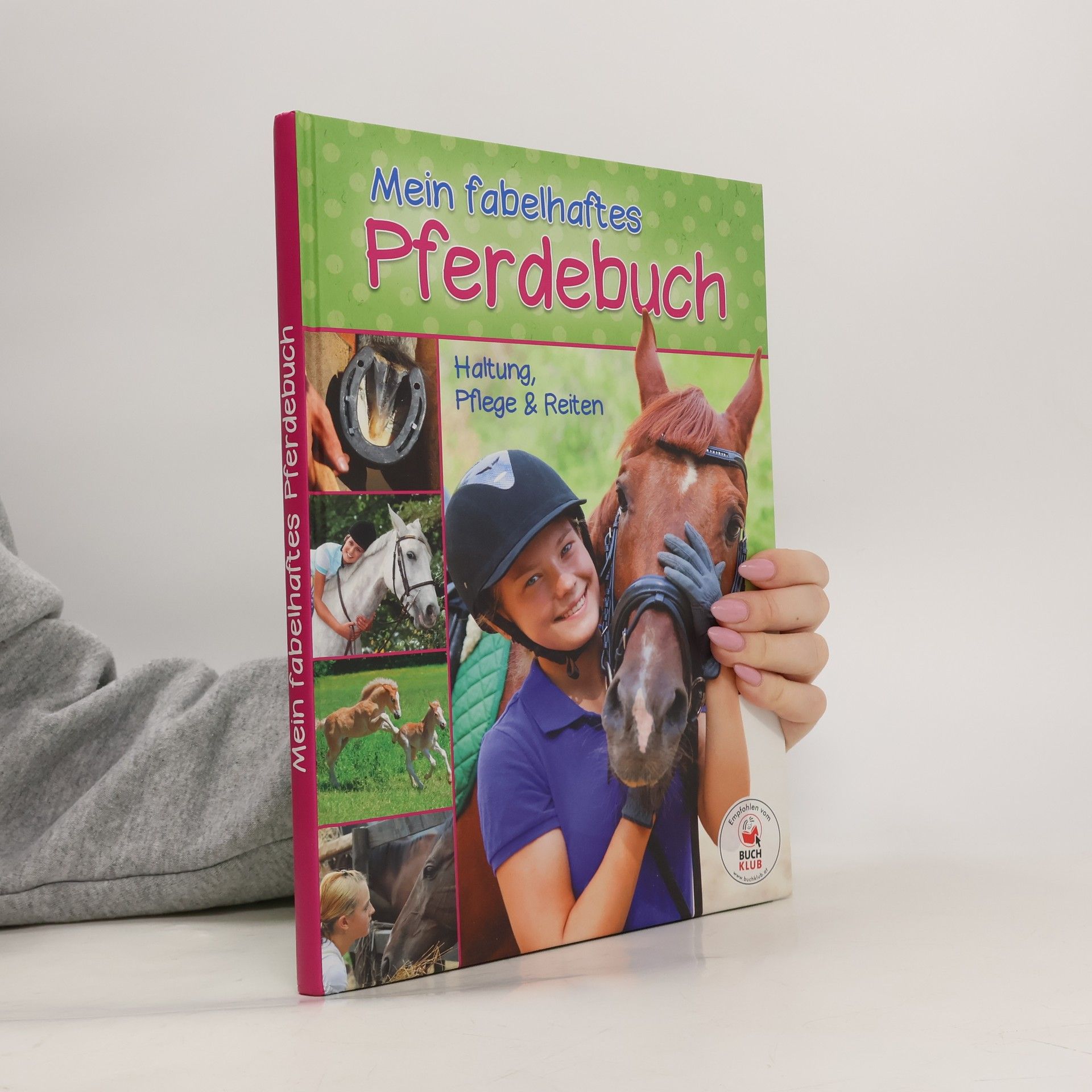 Autorenkollektiv Mein fabelhaftes Pferdebuch