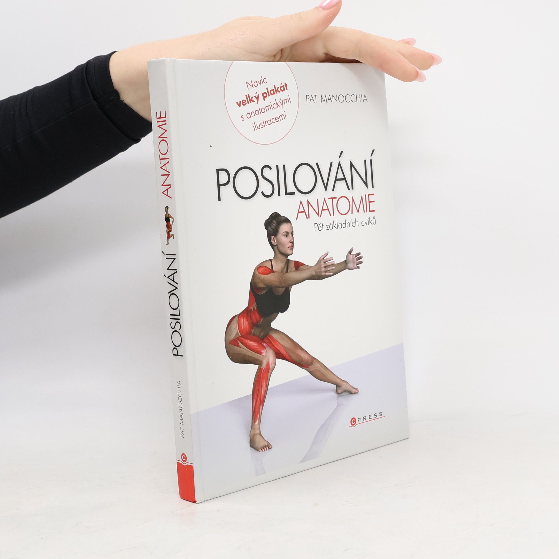 Posilování - anatomie. Pět základních cviků