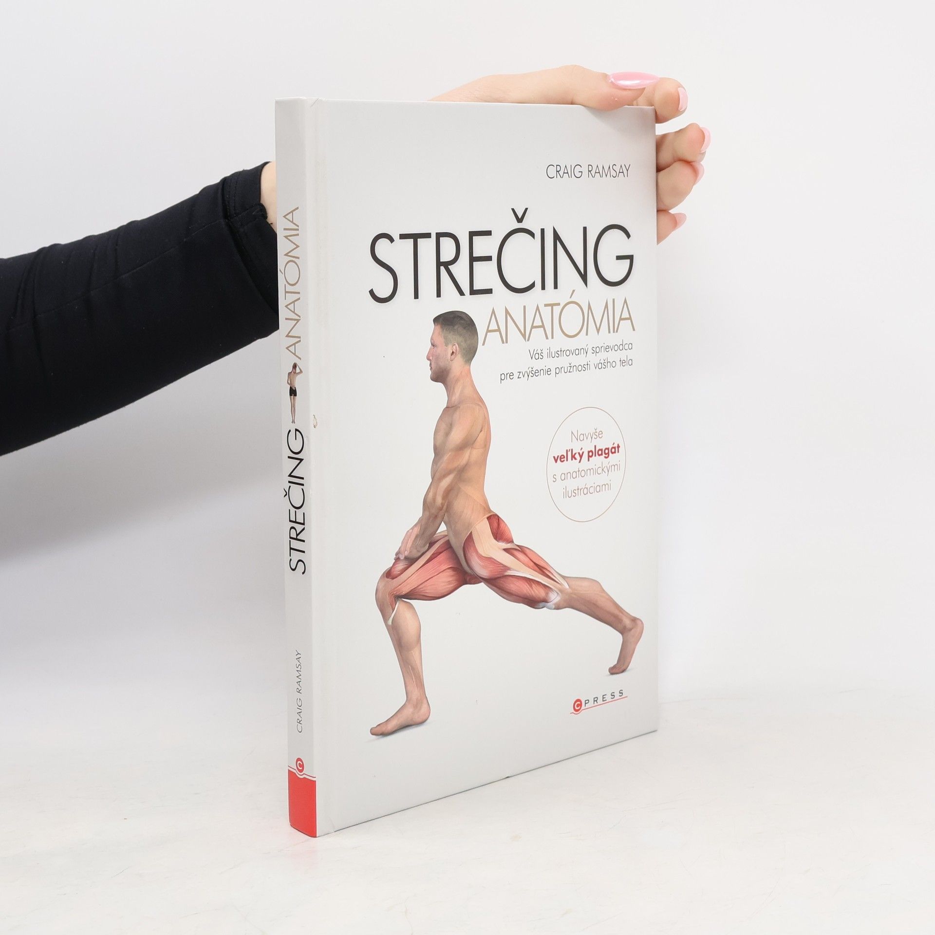 Strečing - Anatómia