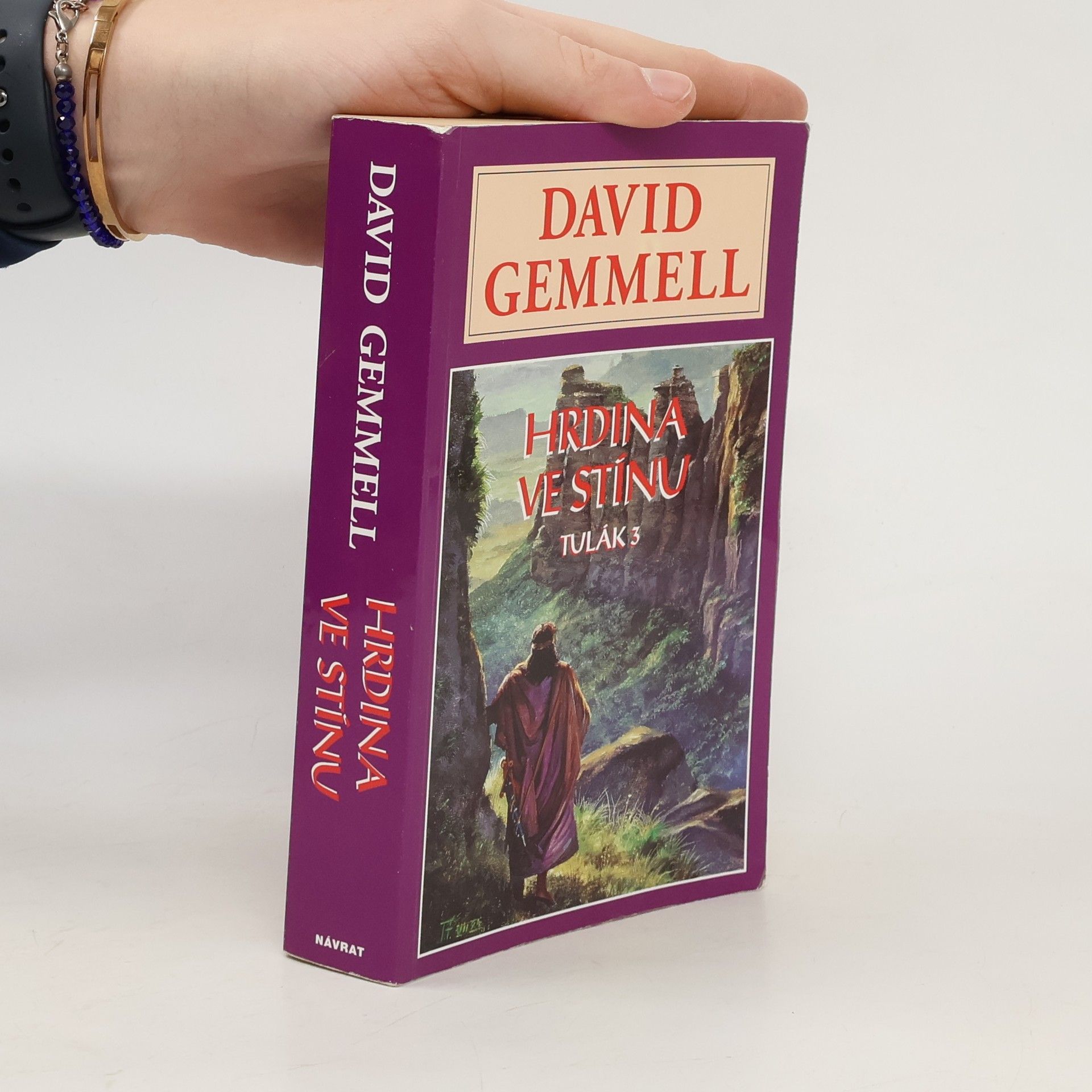 David Gemmell Tulák 3 - Hrdina ve stínu