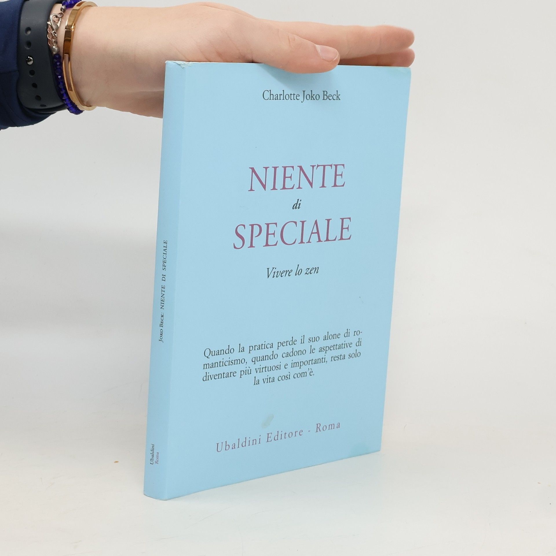 Niente di speciale. Vivere lo zen